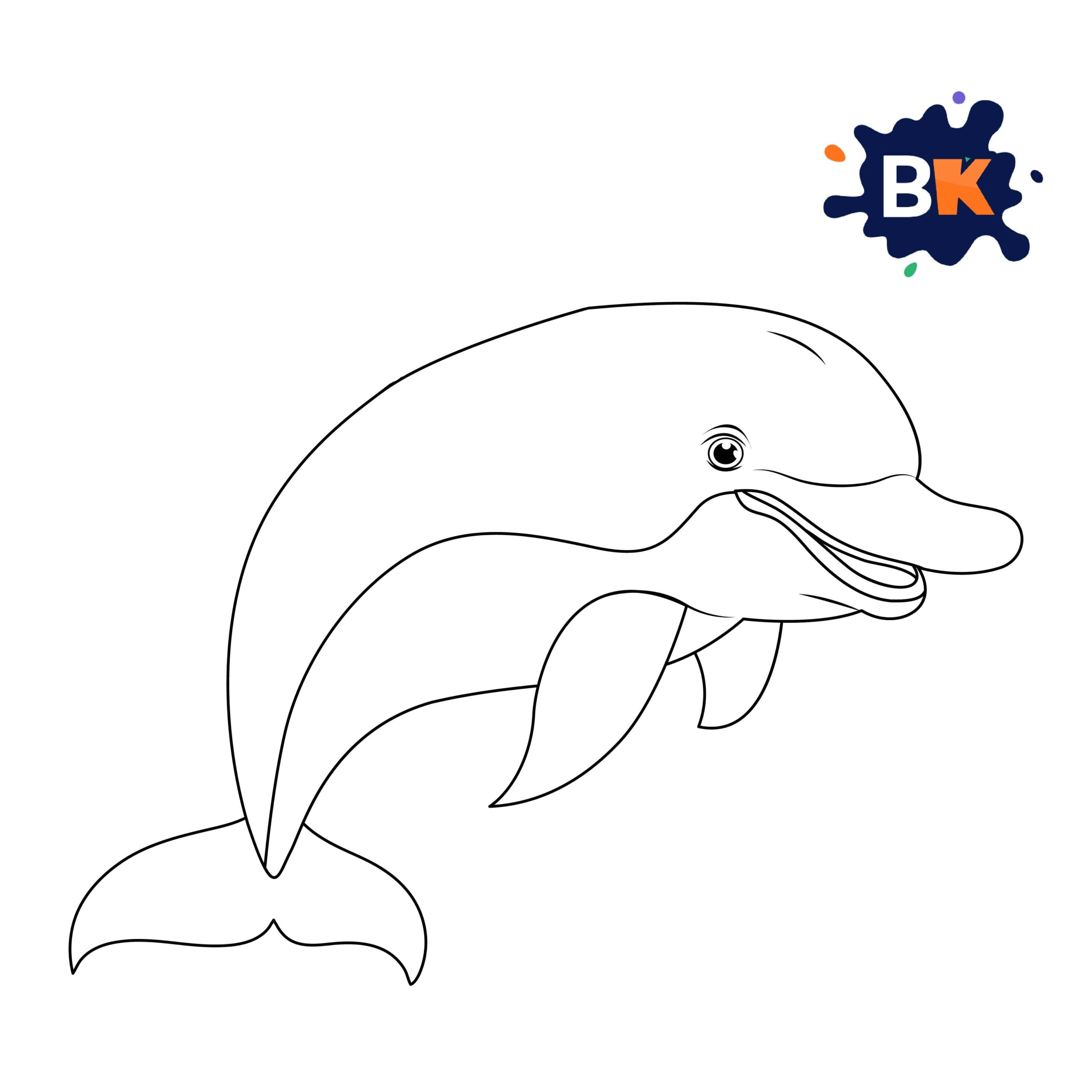 How to Draw a Bottlenose Dolphin 8 How to Draw a Bottlenose Dolphin 8