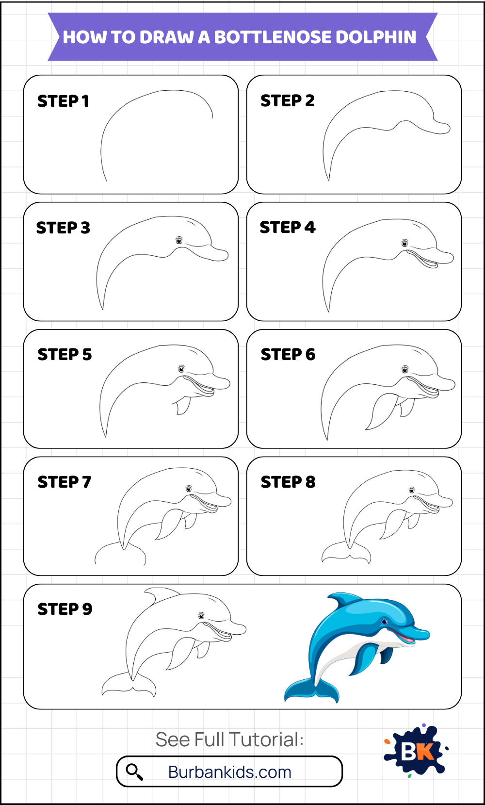 How to Draw a Bottlenose Dolphin How to Draw a Bottlenose Dolphin