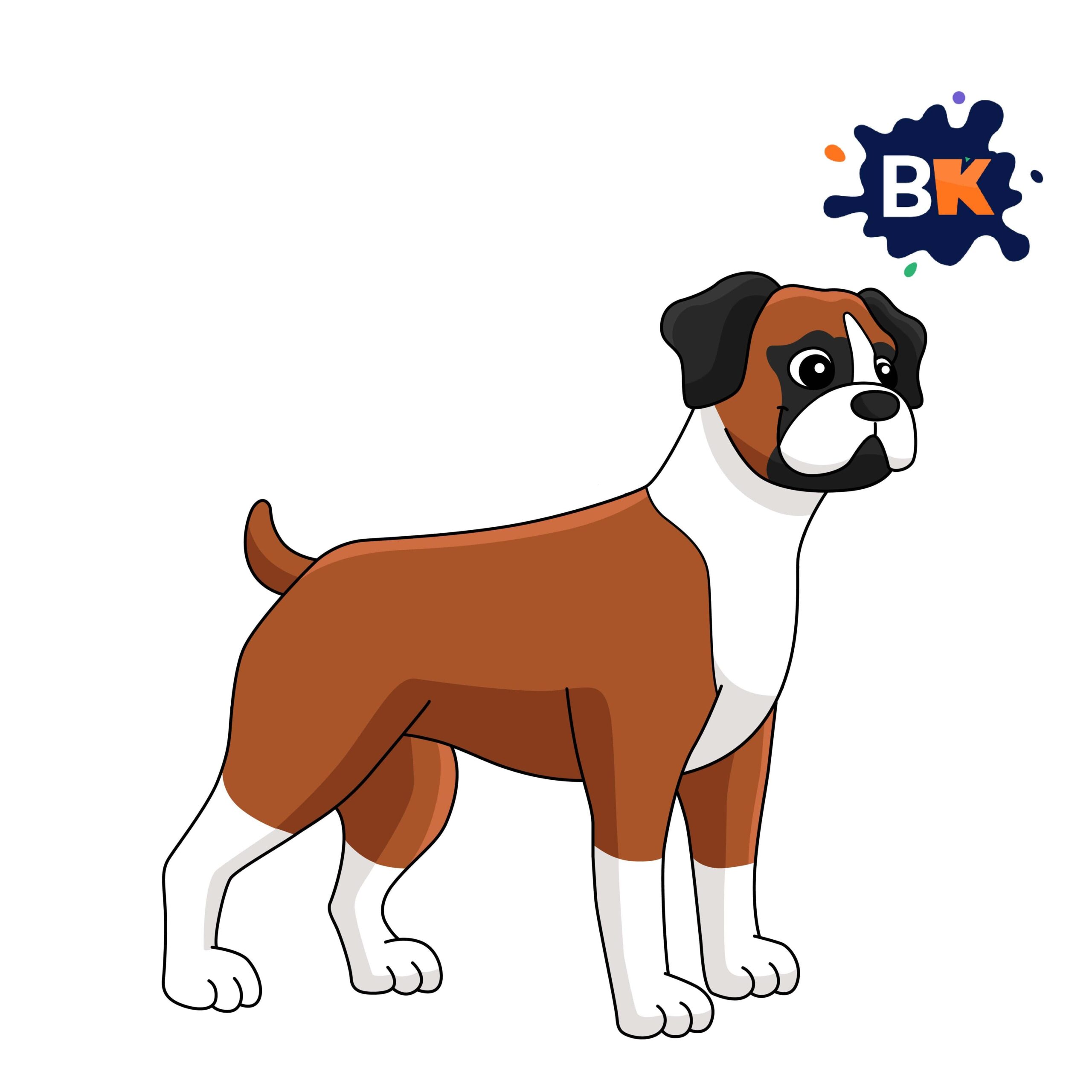 How to Draw a Boxer Dog Step 10 How to Draw a Boxer Dog Step 10