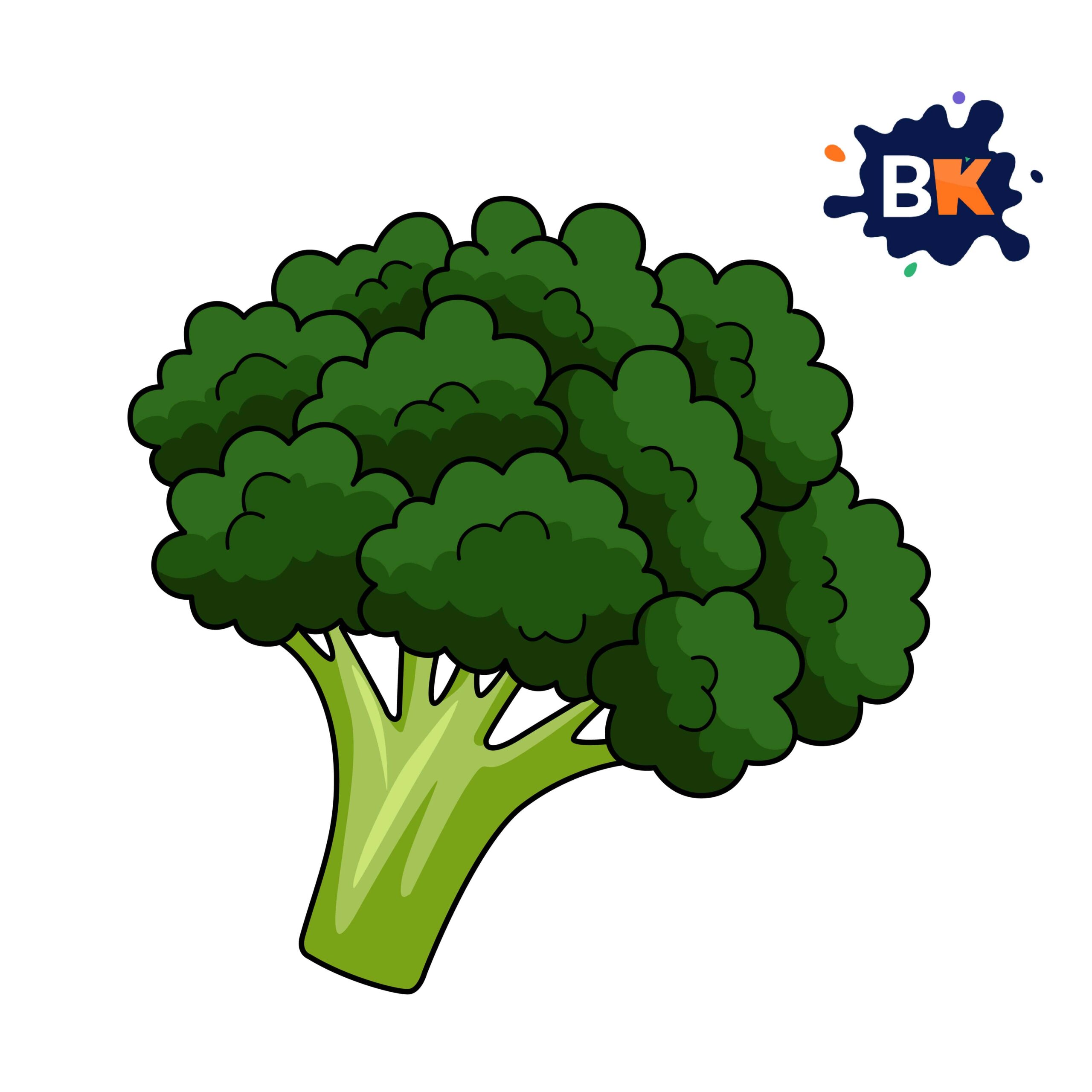How to Draw a Broccoli Step 10 How to Draw a Broccoli Step 10