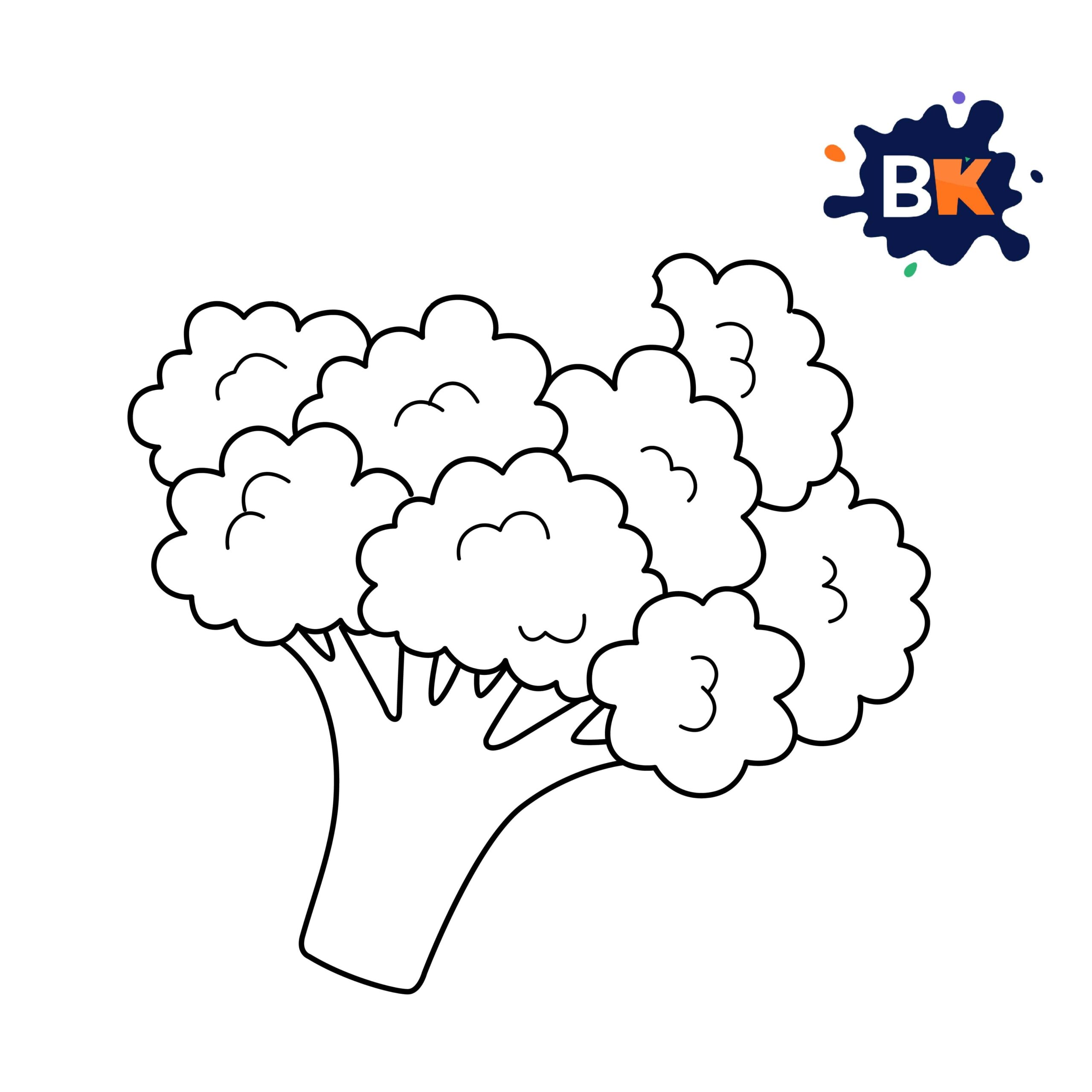 How to Draw a Broccoli Step 8 How to Draw a Broccoli Step 8