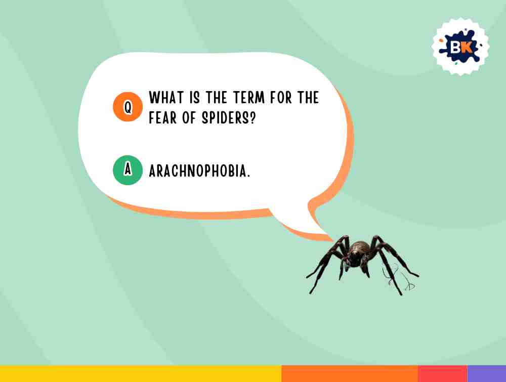 Informative Schitt's Creek Trivia Questions For Kids