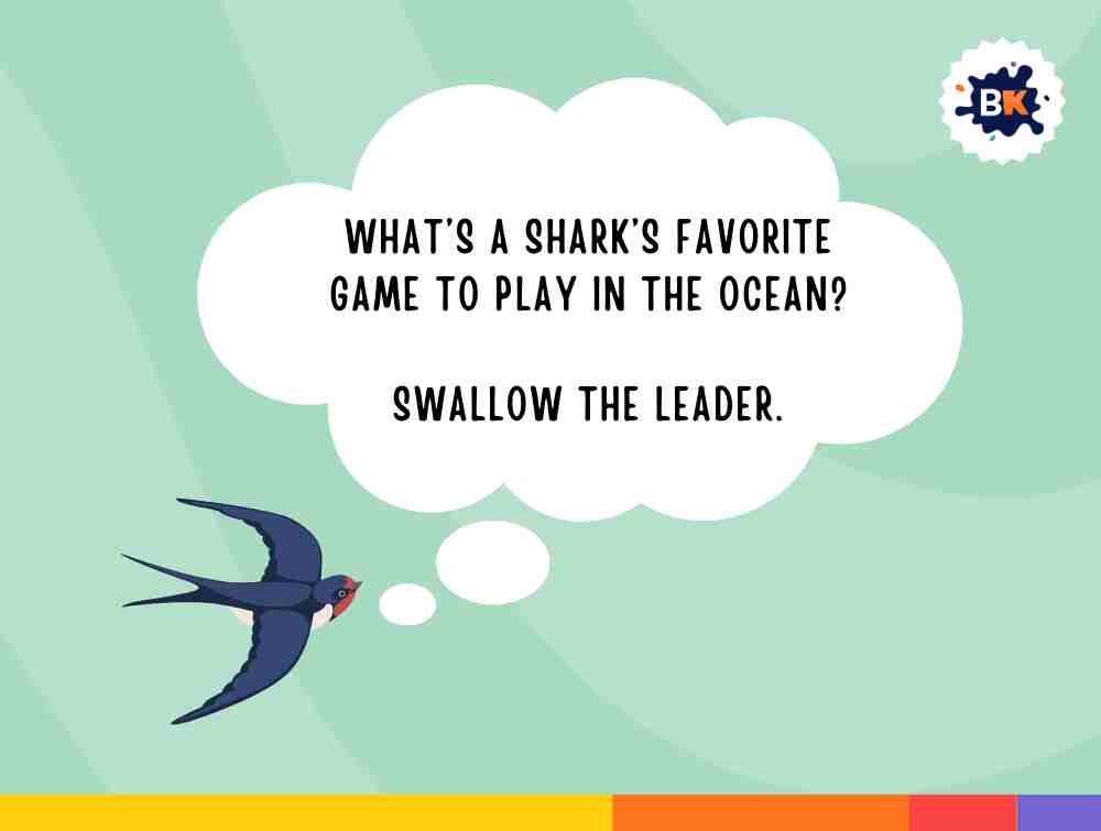 Interesting Shark Riddles For Kids 