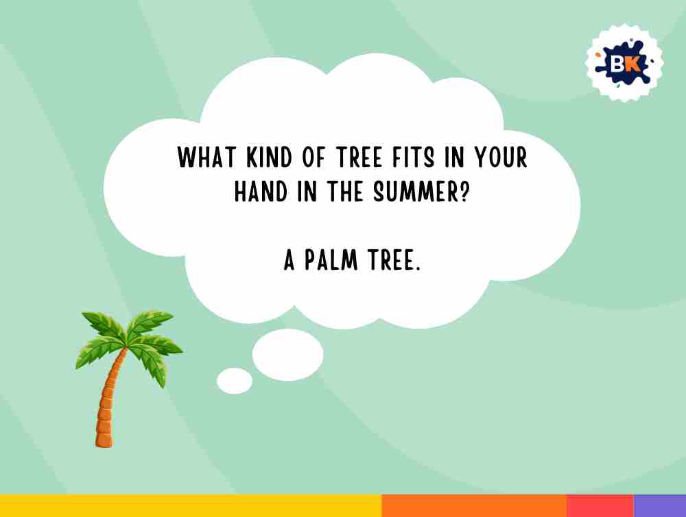 Interesting Summer Riddles For Kids