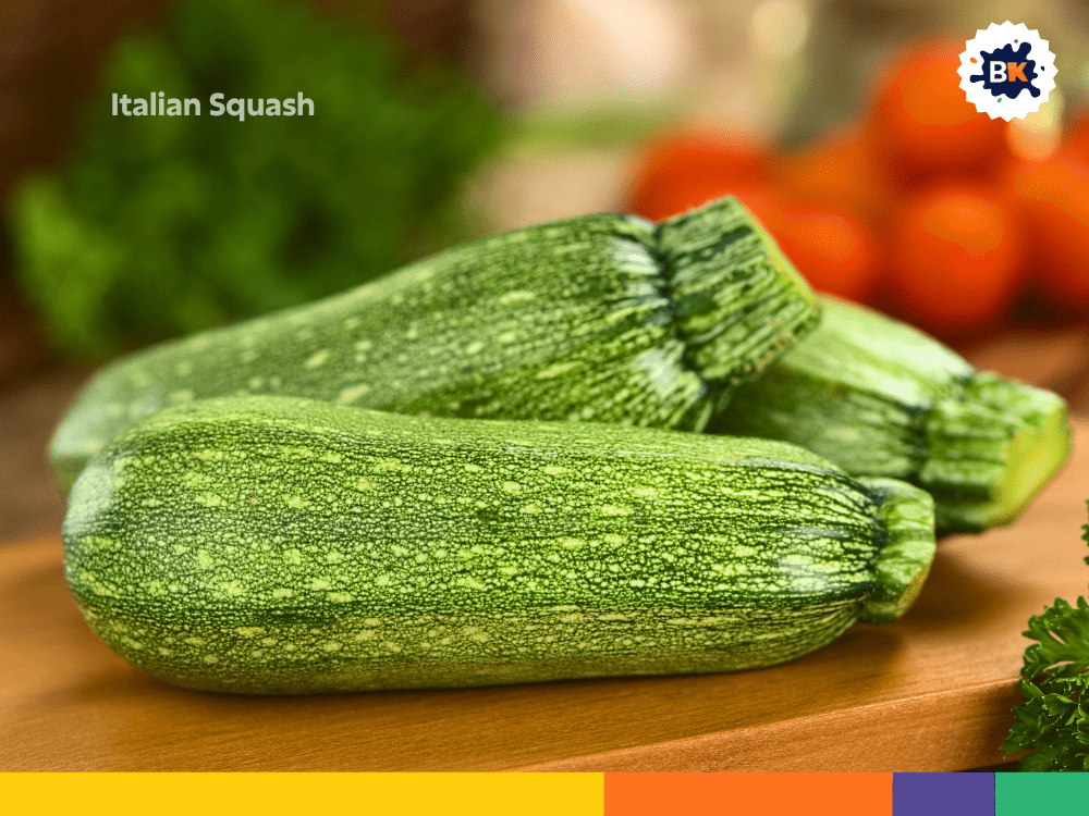 Italian Squash Italian Squash