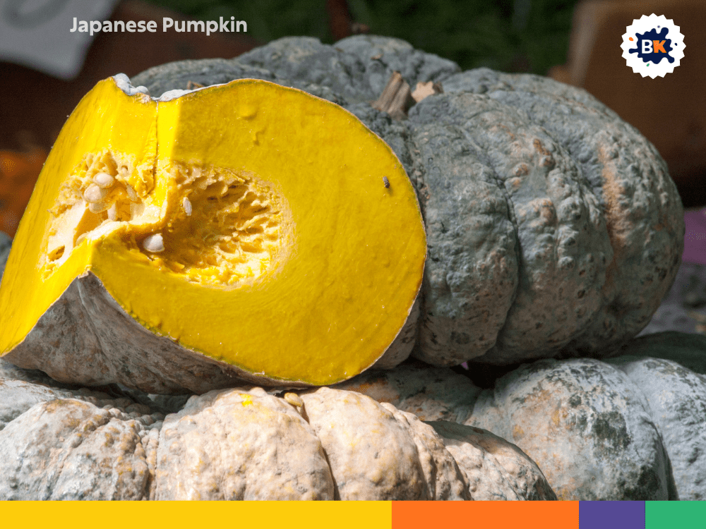 Japanese Pumpkin Japanese Pumpkin