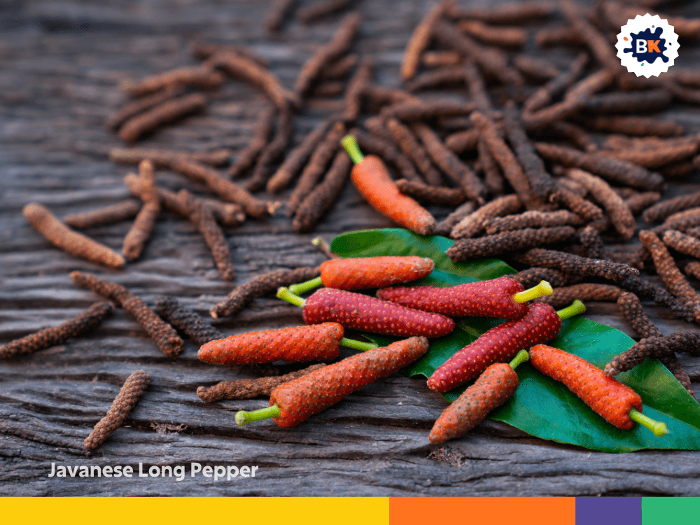 Javanese Long Pepper Javanese Long Pepper