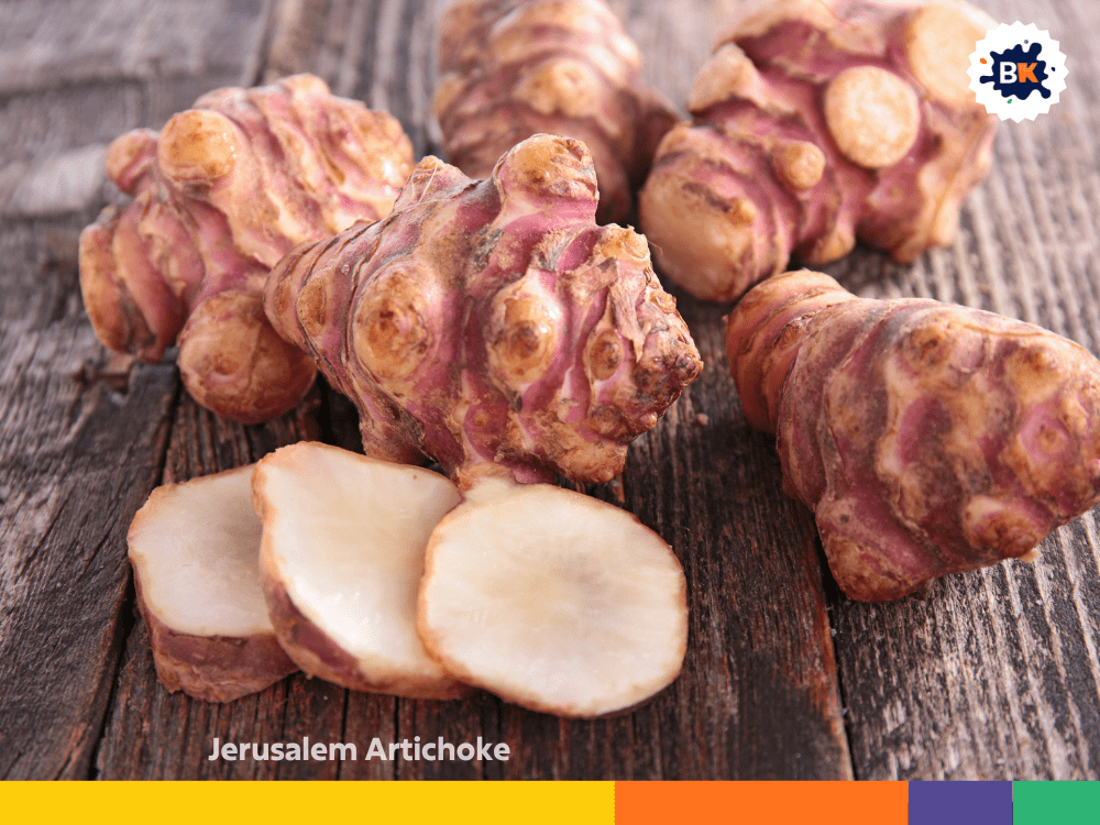 Jerusalem Artichoke Jerusalem Artichoke