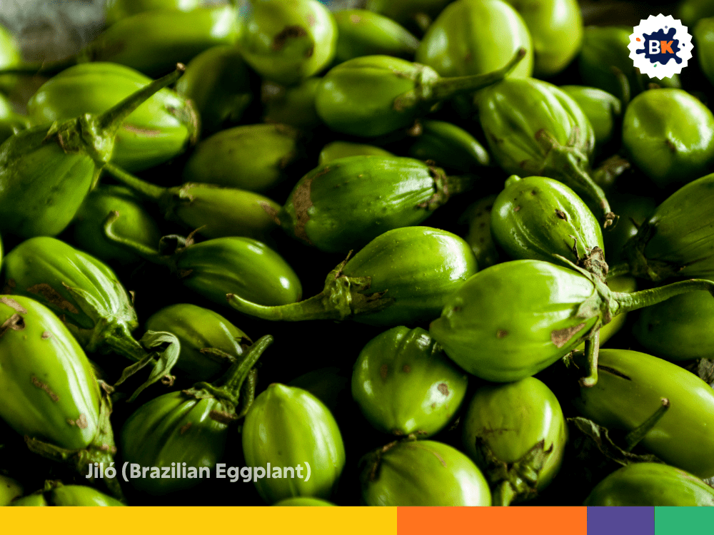 Jiló (Brazilian Eggplant) Jiló (Brazilian Eggplant)