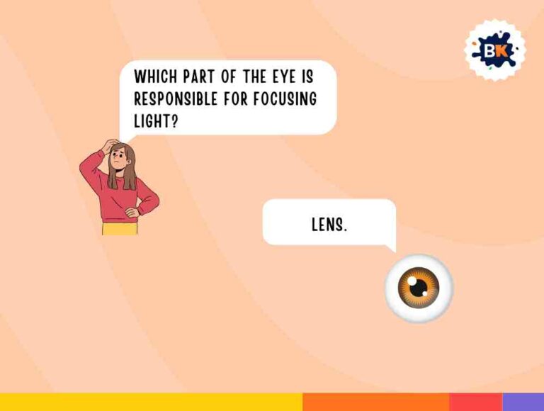 107+ Medical Trivia Questions to Test Your Knowledge!