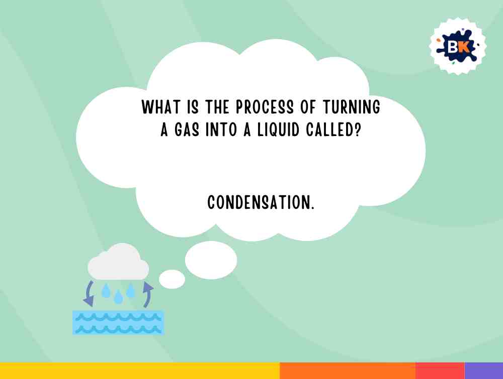 Wise Science Trivia Questions For Kids