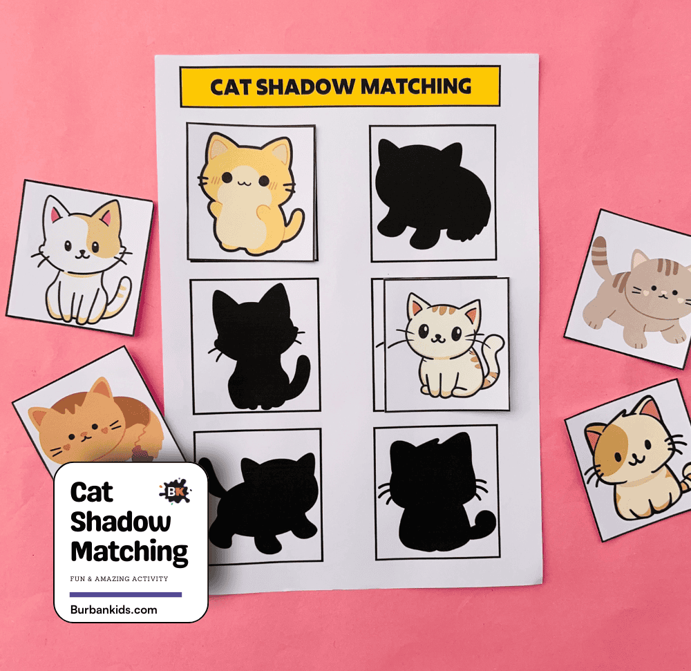 Cat Shadow Matching Activity