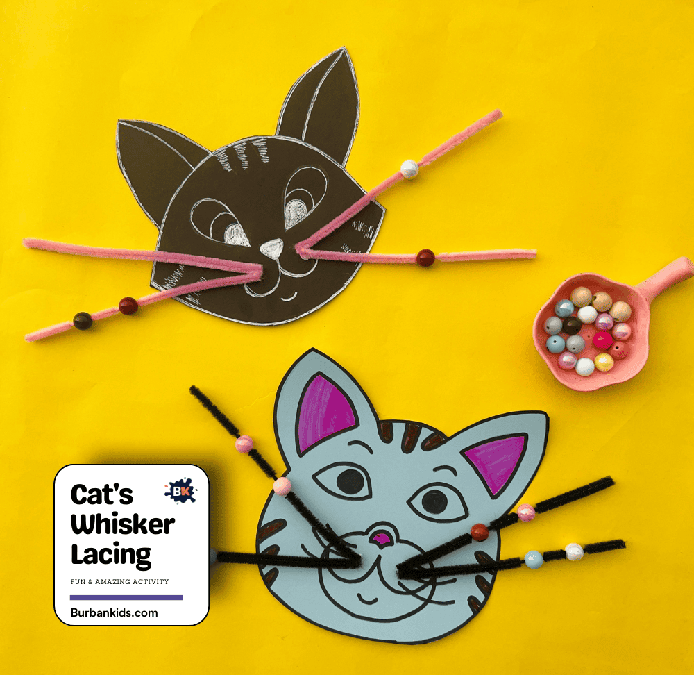 Cat's Whisker Lacing Activity