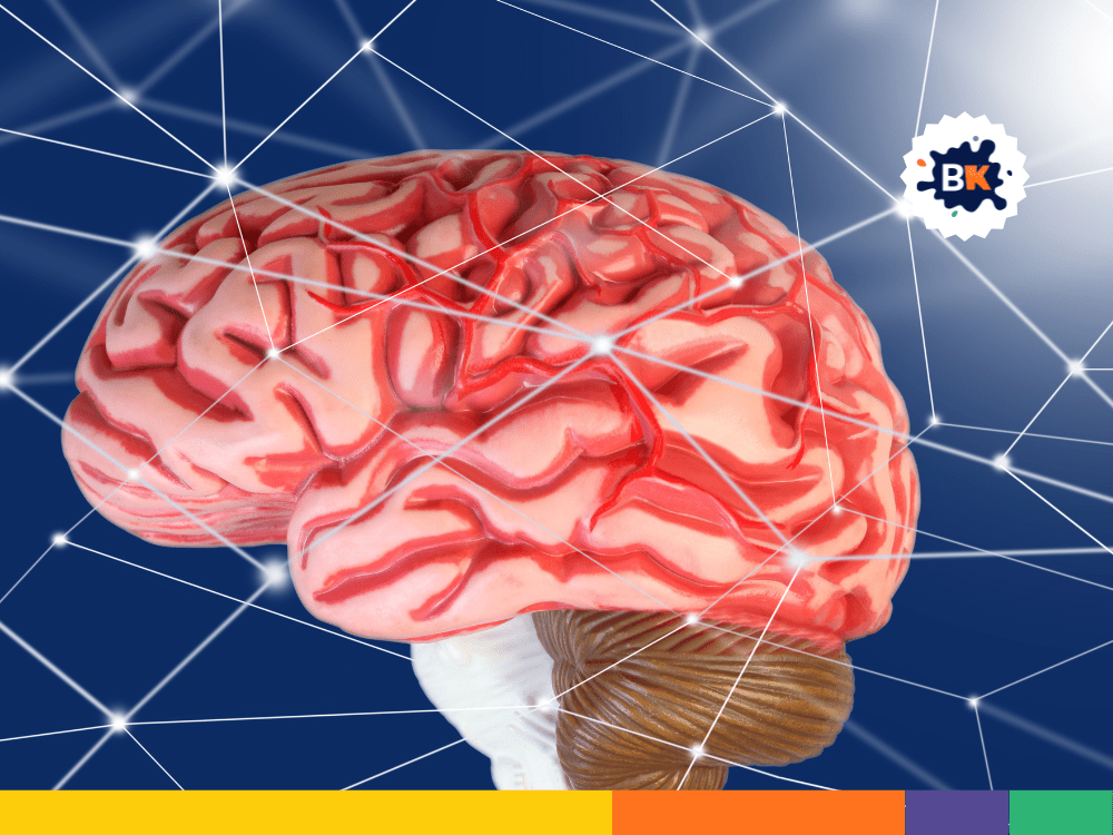 The Brain Can Be Affected By Sleep Deprivation The Brain Can Be Affected By Sleep Deprivation