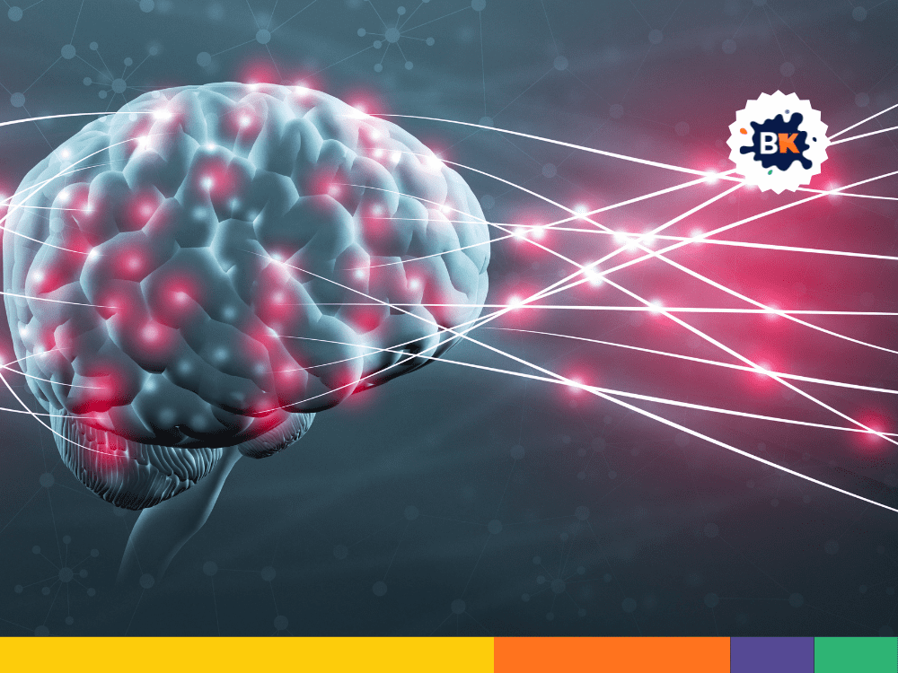 The Brain Can Generate New Neurons The Brain Can Generate New Neurons