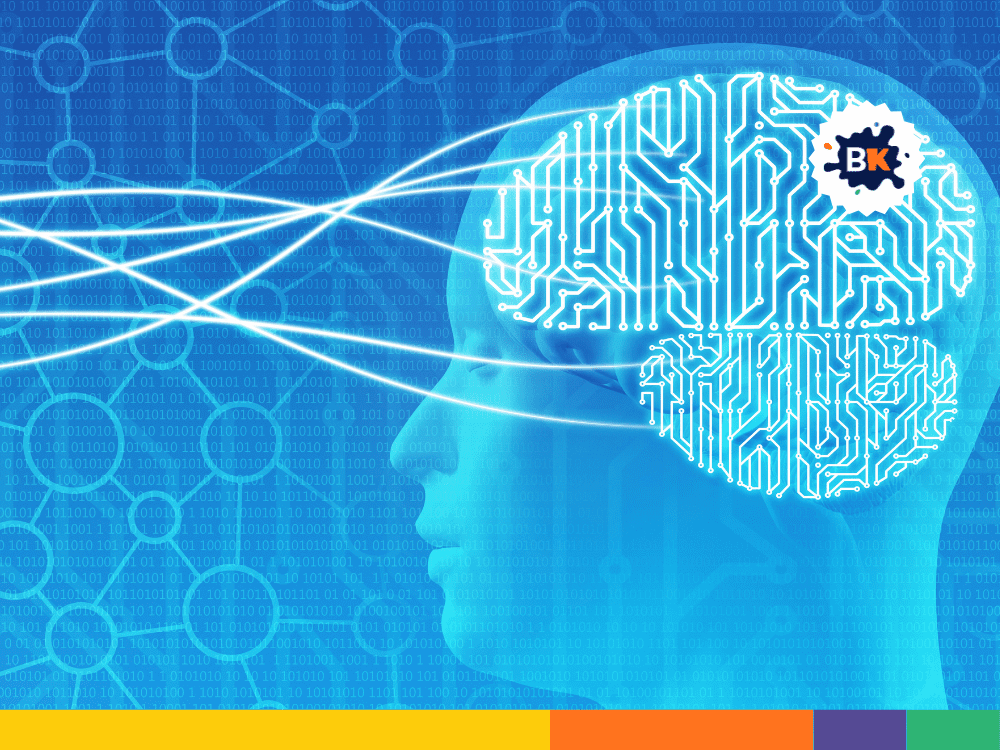 The Brainβs Insula The Brainβs Insula