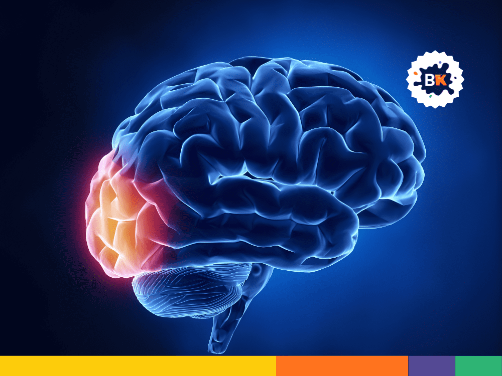 The Brainβs Left And Right Hemispheres Have Different Functions The Brainβs Left And Right Hemispheres Have Different Functions