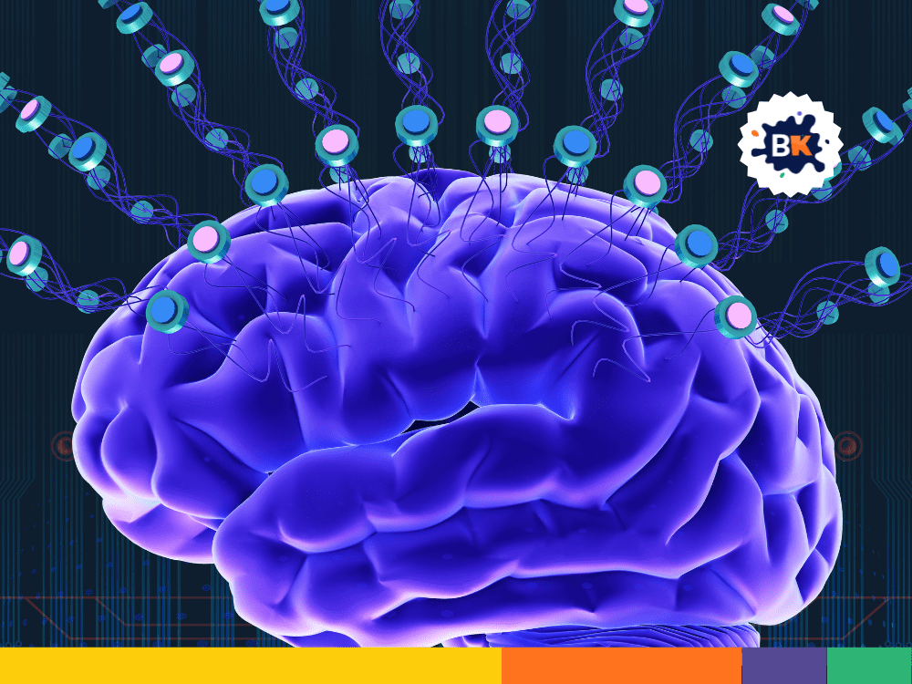 The Brainβs Size Is Not Correlated With Intelligence The Brainβs Size Is Not Correlated With Intelligence