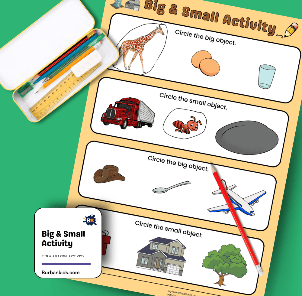 Big & Small Activity