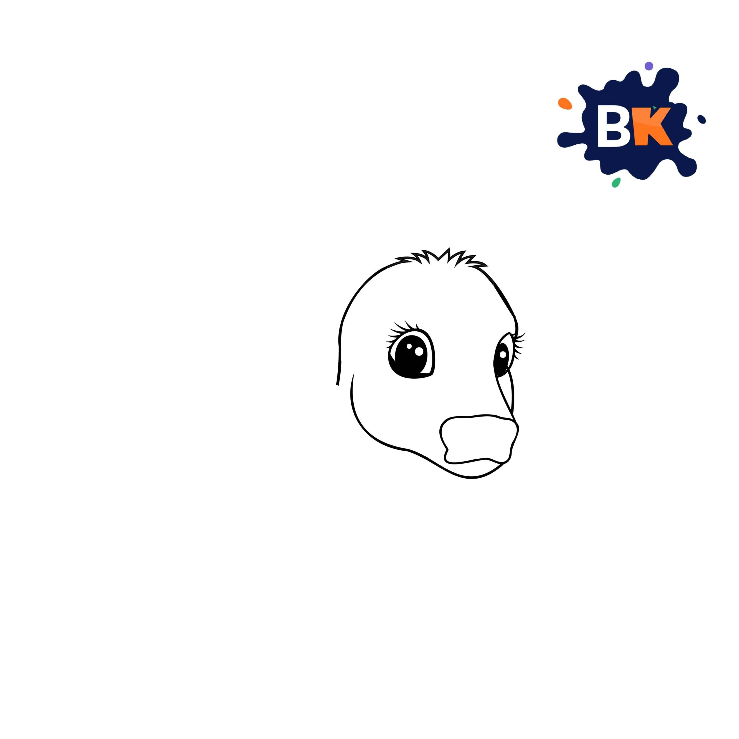 How To Draw A Calf Step 2 How To Draw A Calf Step 2
