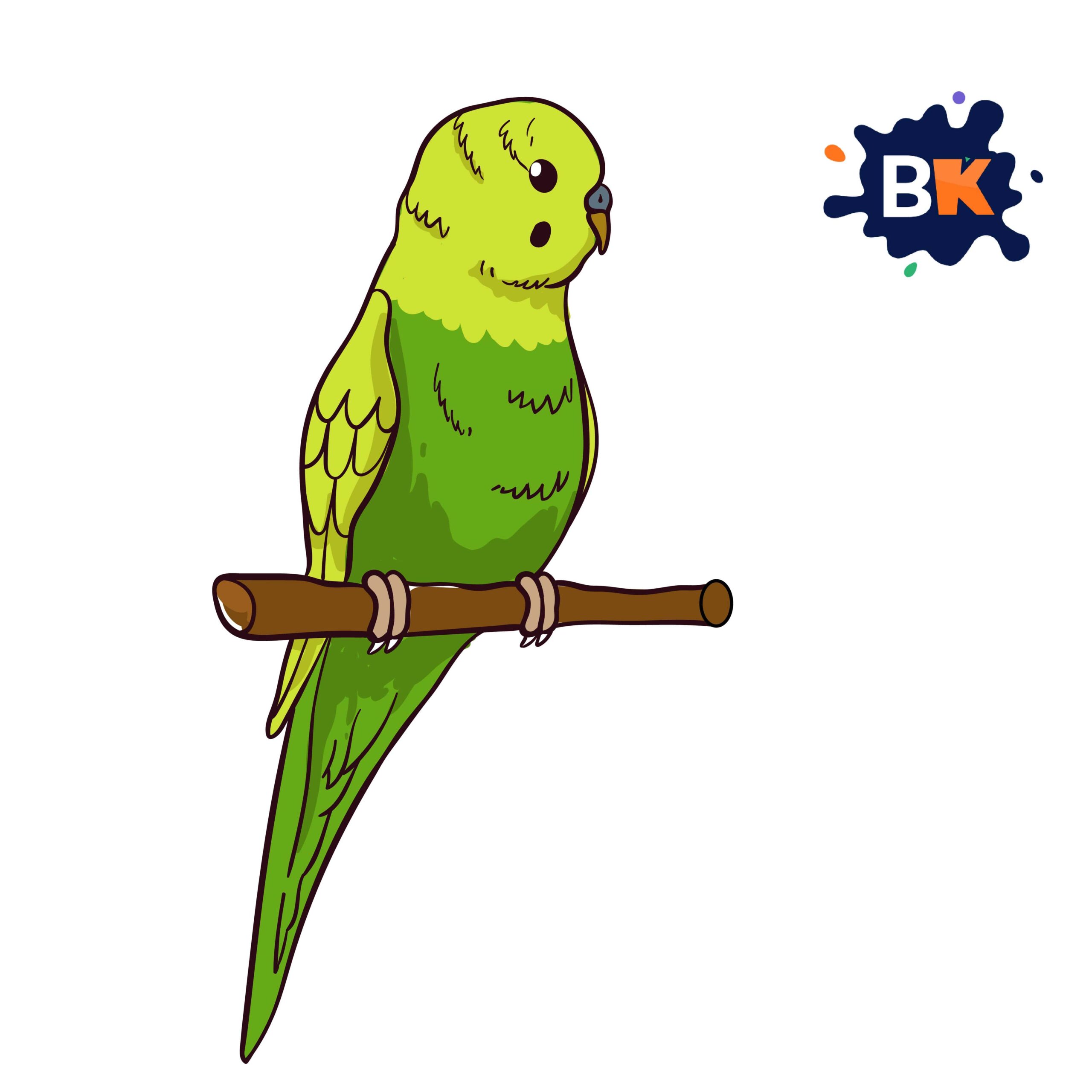 How to Draw a Budgerigar Step 10 How to Draw a Budgerigar Step 10