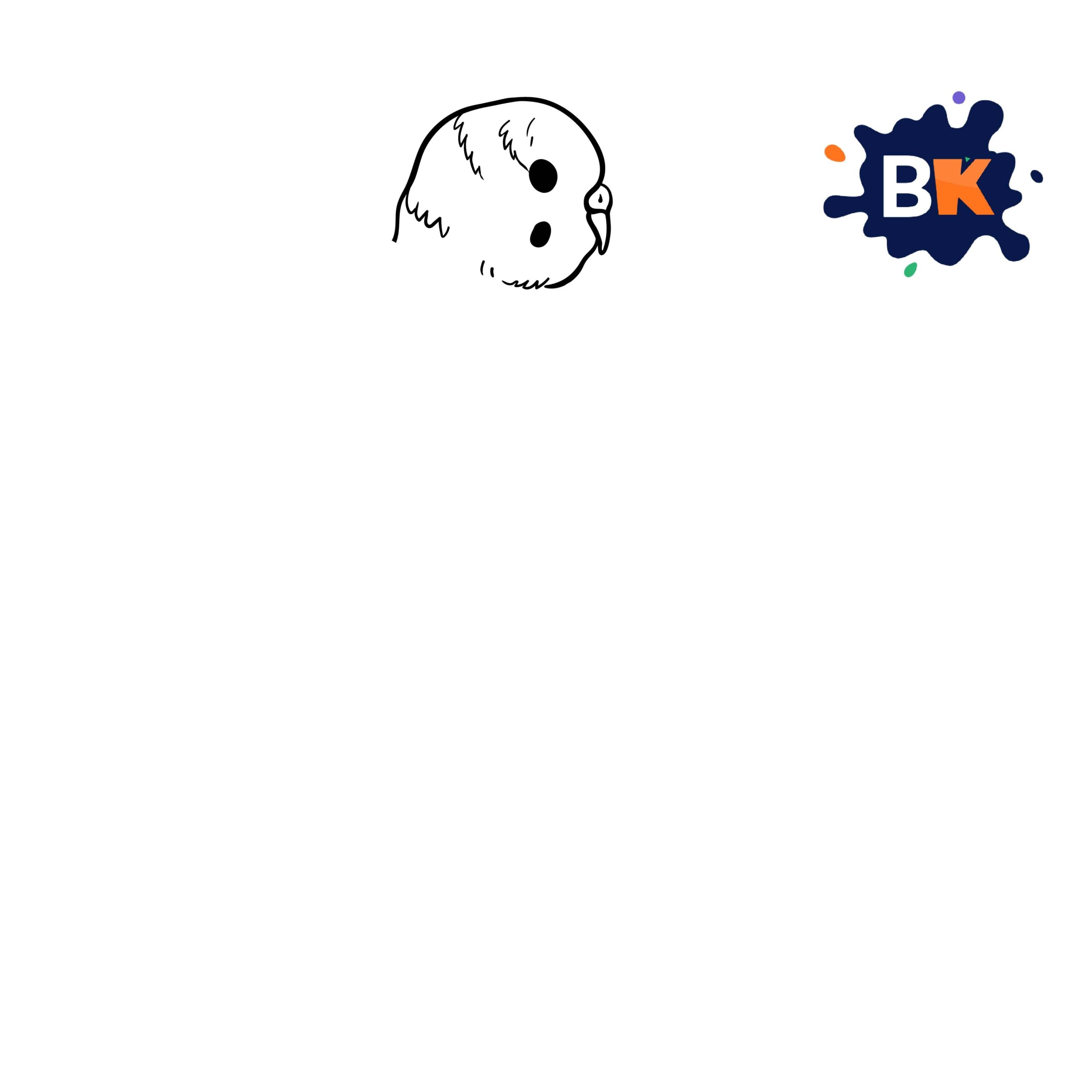 How to Draw a Budgerigar Step 2 How to Draw a Budgerigar Step 2