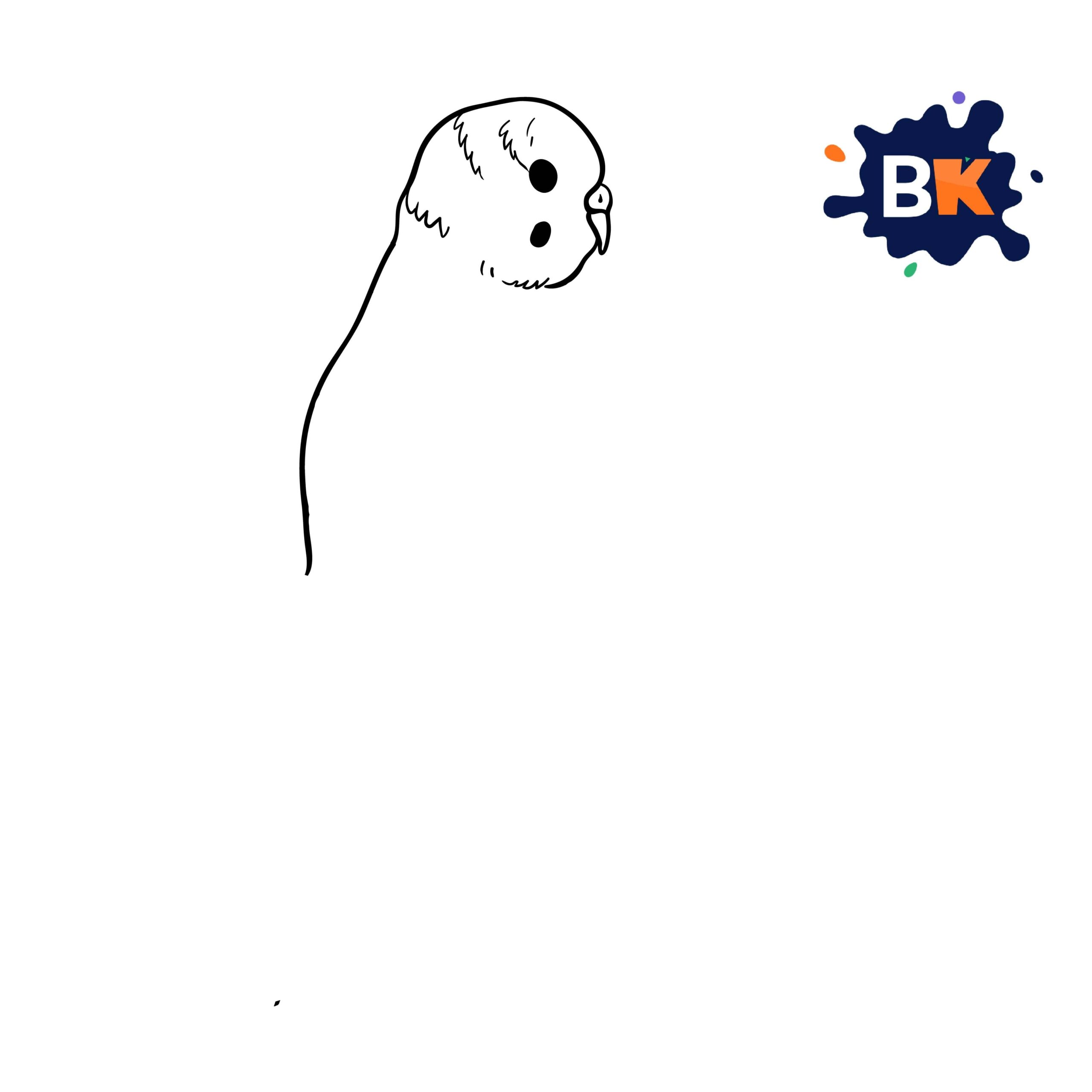 How to Draw a Budgerigar Step 3 How to Draw a Budgerigar Step 3