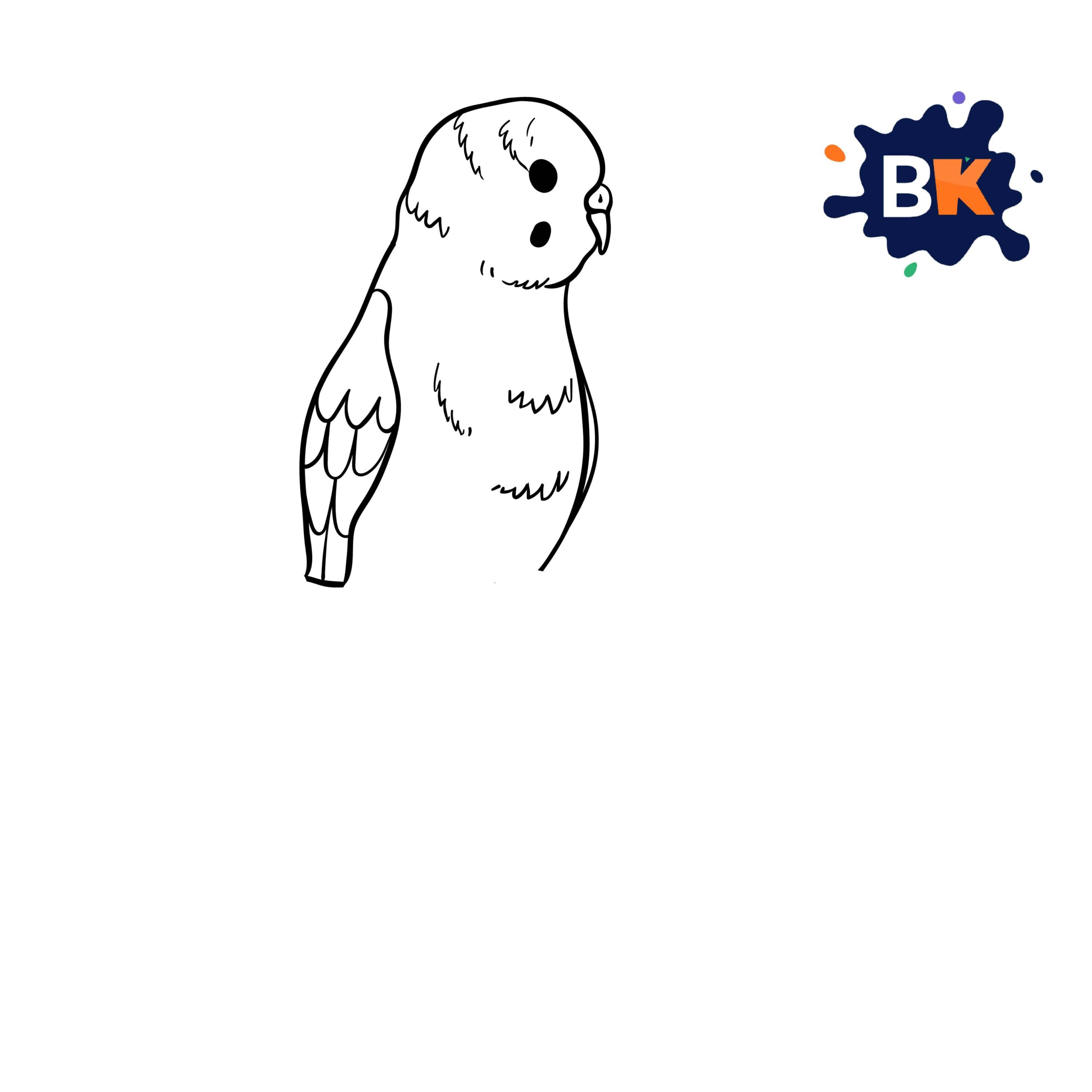 How to Draw a Budgerigar Step 5 How to Draw a Budgerigar Step 5