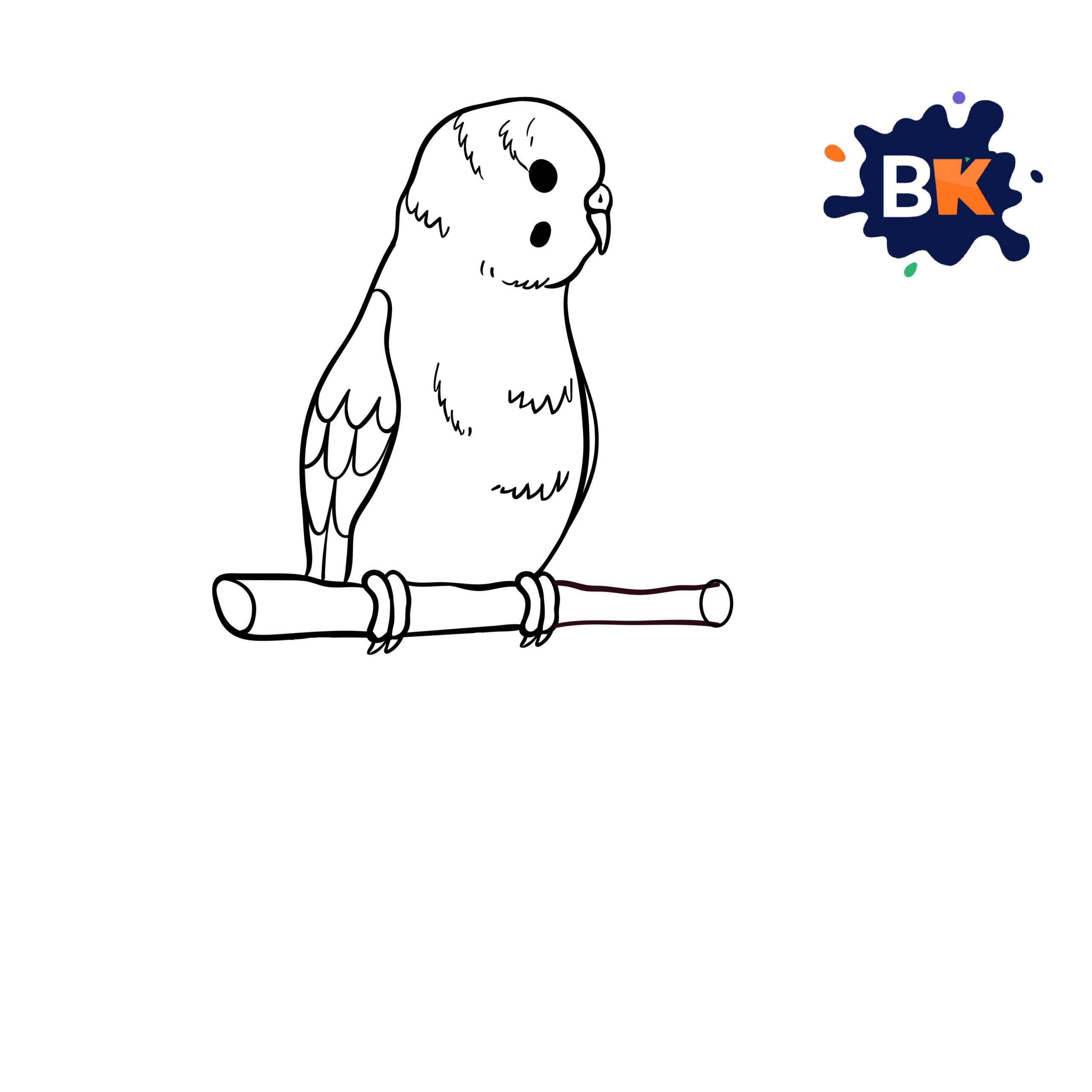 How to Draw a Budgerigar Step 6 How to Draw a Budgerigar Step 6