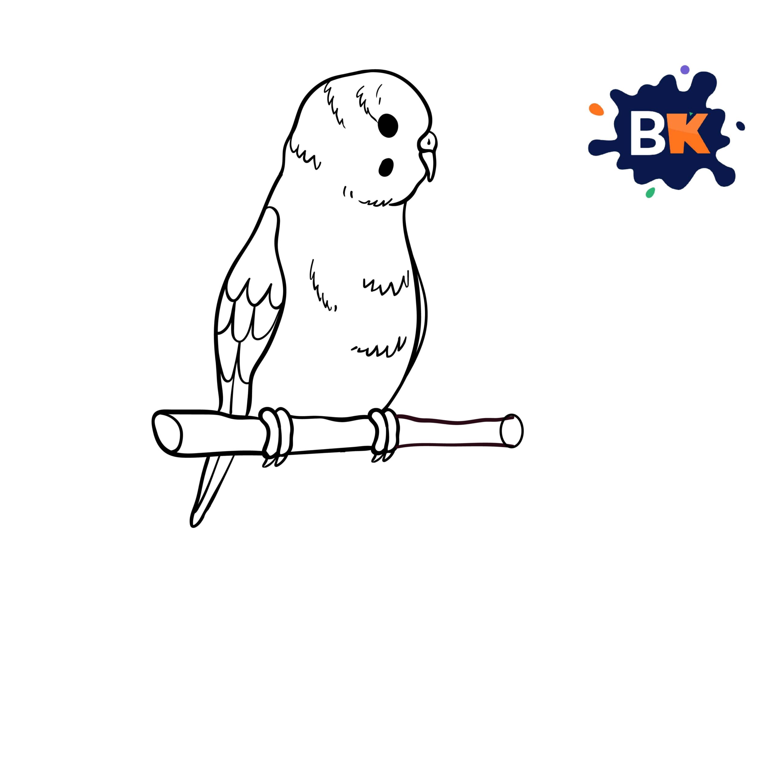 How to Draw a Budgerigar Step 7 How to Draw a Budgerigar Step 7