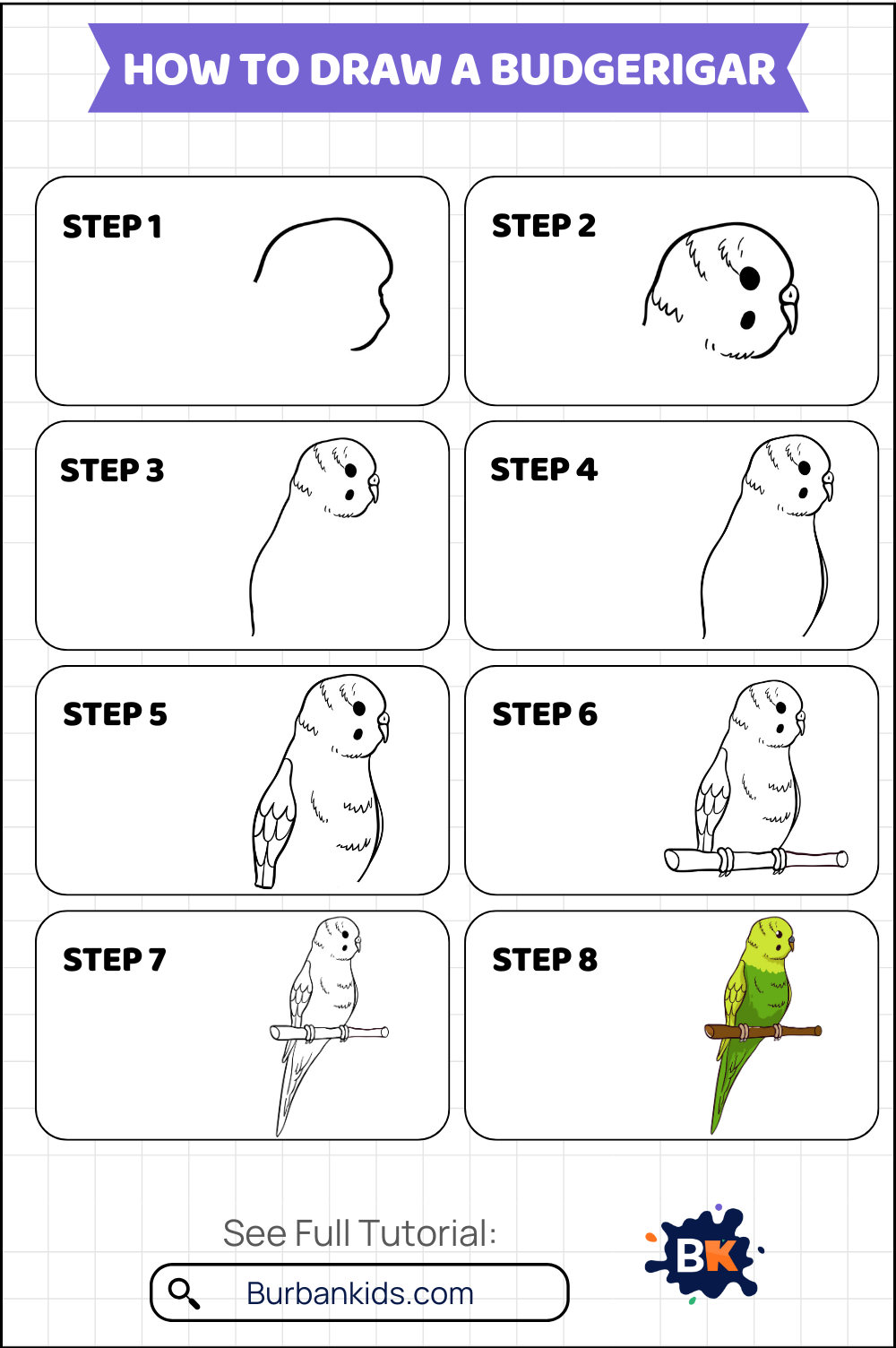 How to Draw a Budgerigar How to Draw a Budgerigar