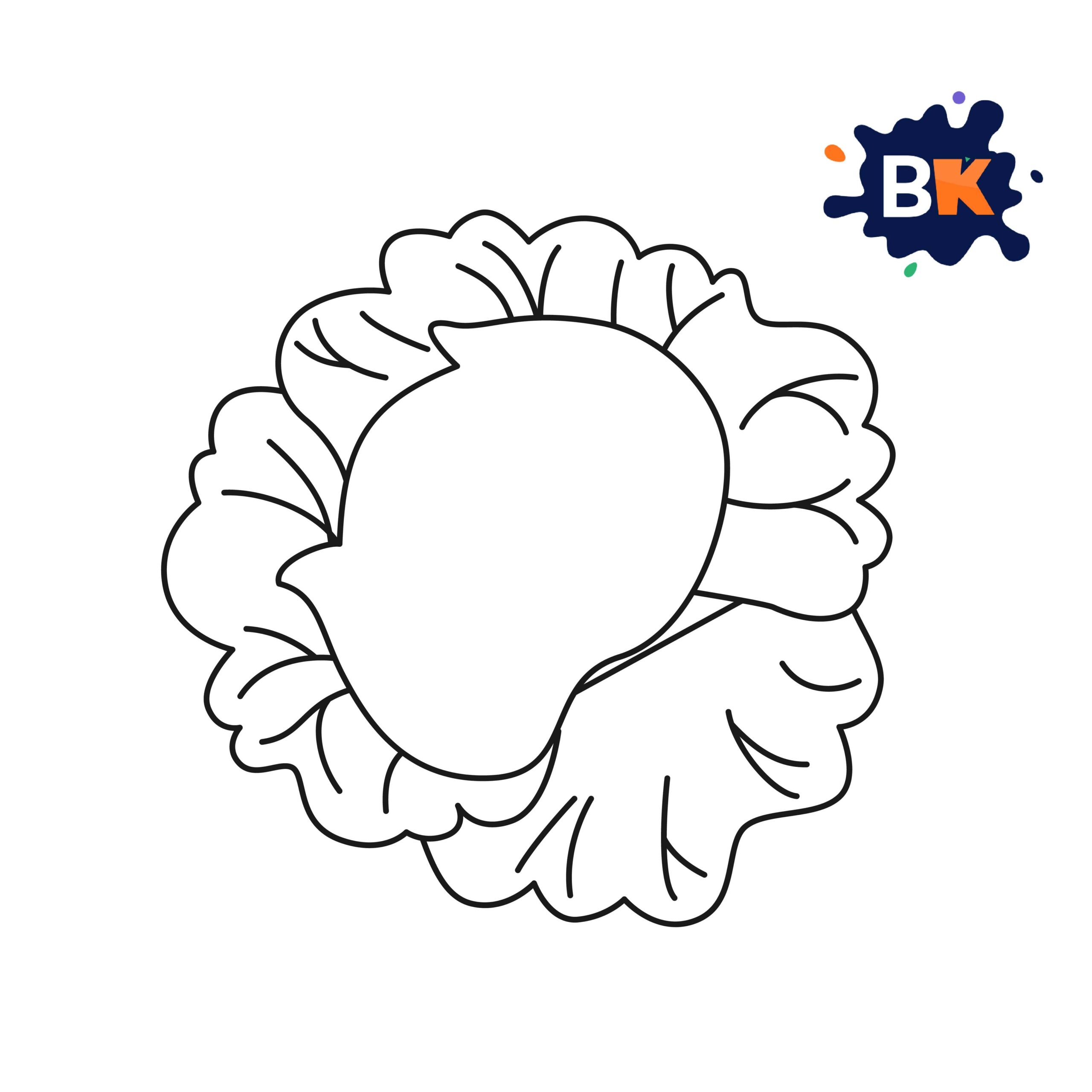 How to Draw a Cabbage Step 6 How to Draw a Cabbage Step 6