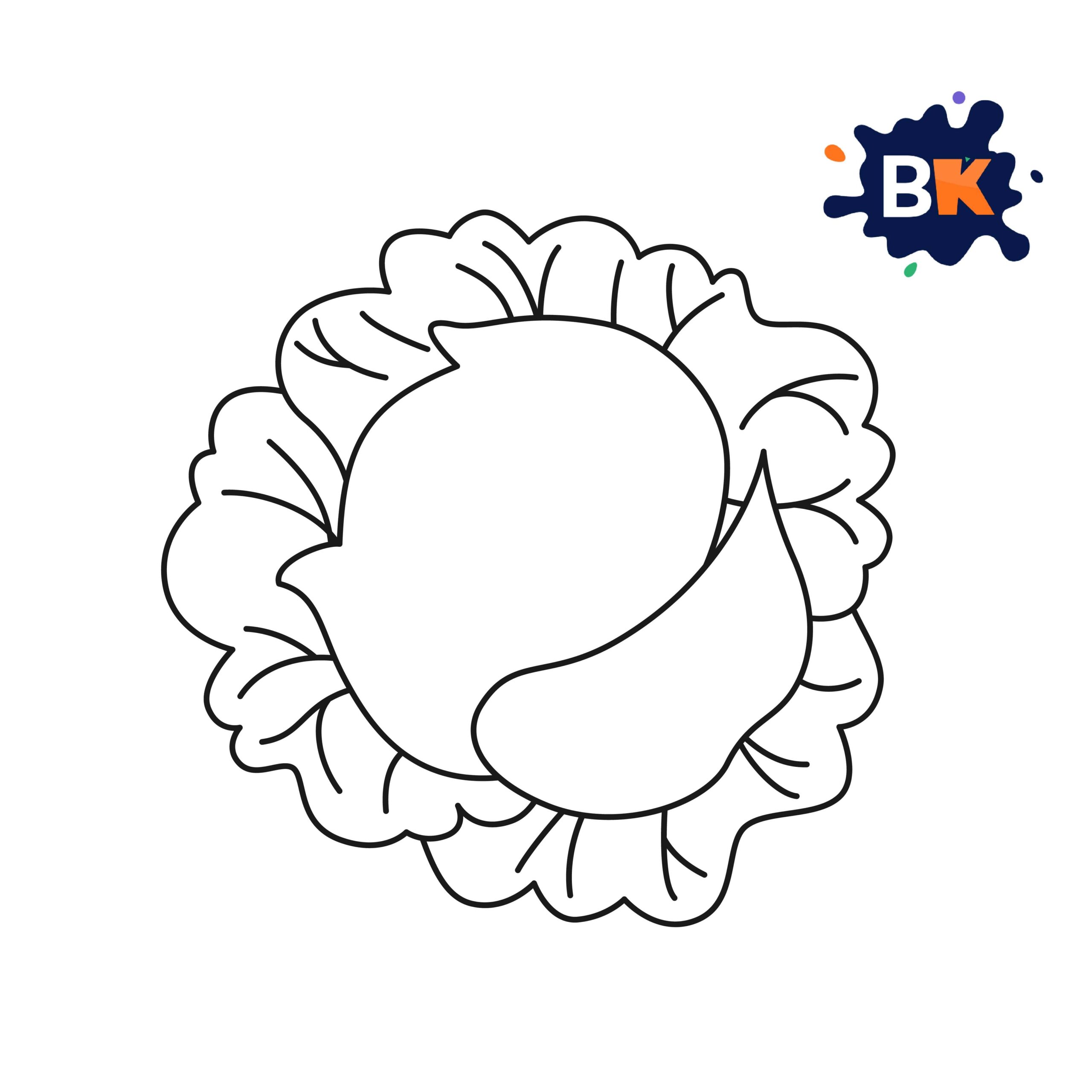 How to Draw a Cabbage Step 7 How to Draw a Cabbage Step 7