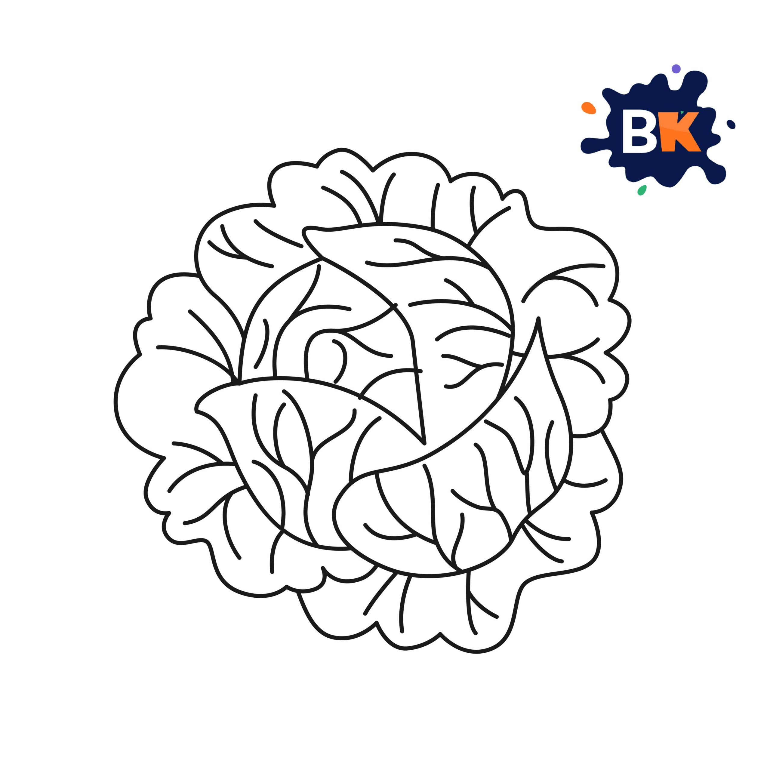 How to Draw a Cabbage Step 8 How to Draw a Cabbage Step 8