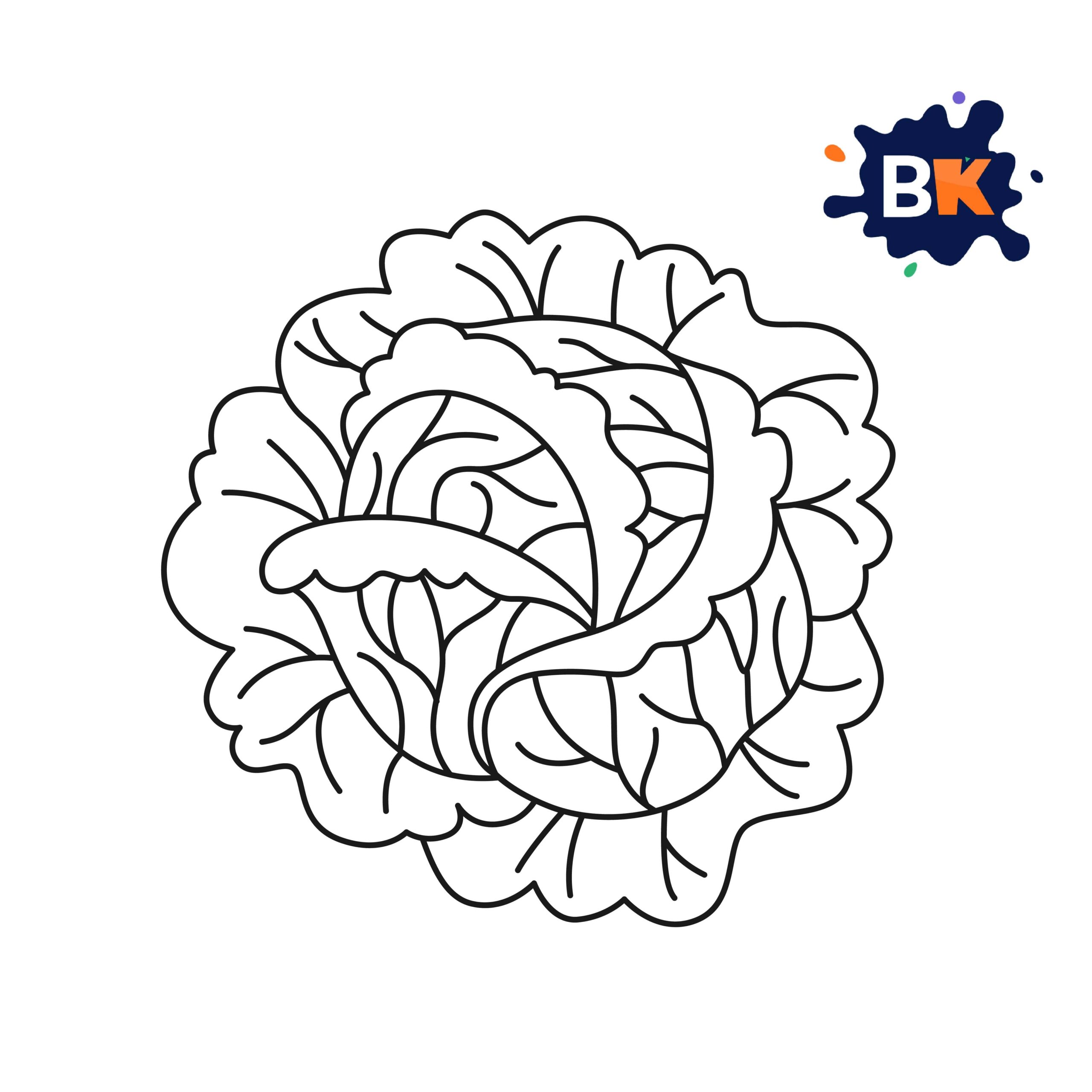 How to Draw a Cabbage Step 9 How to Draw a Cabbage Step 9