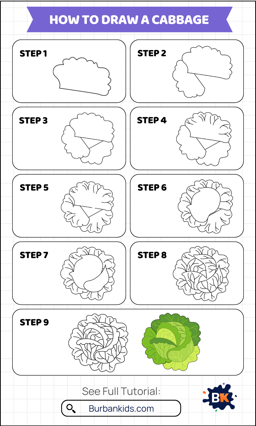 How to Draw a Cabbage How to Draw a Cabbage