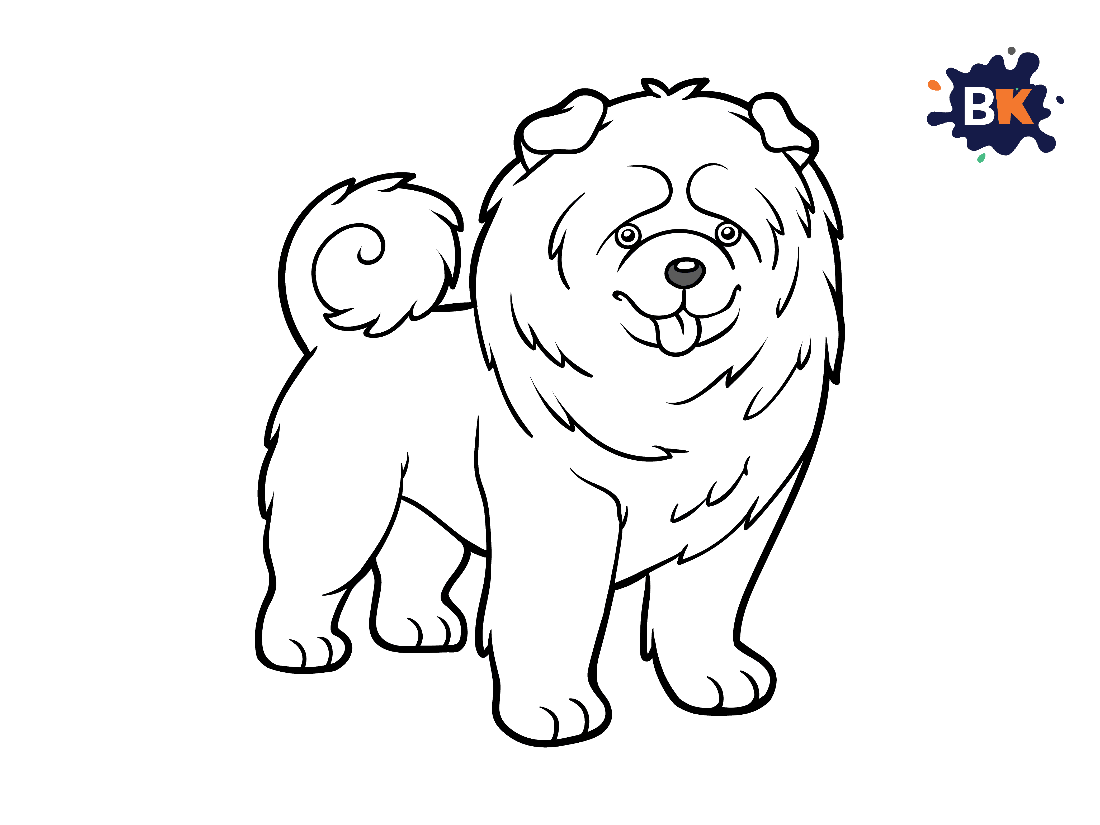 How to Draw a Chow Chow Step 8 How to Draw a Chow Chow Step 8