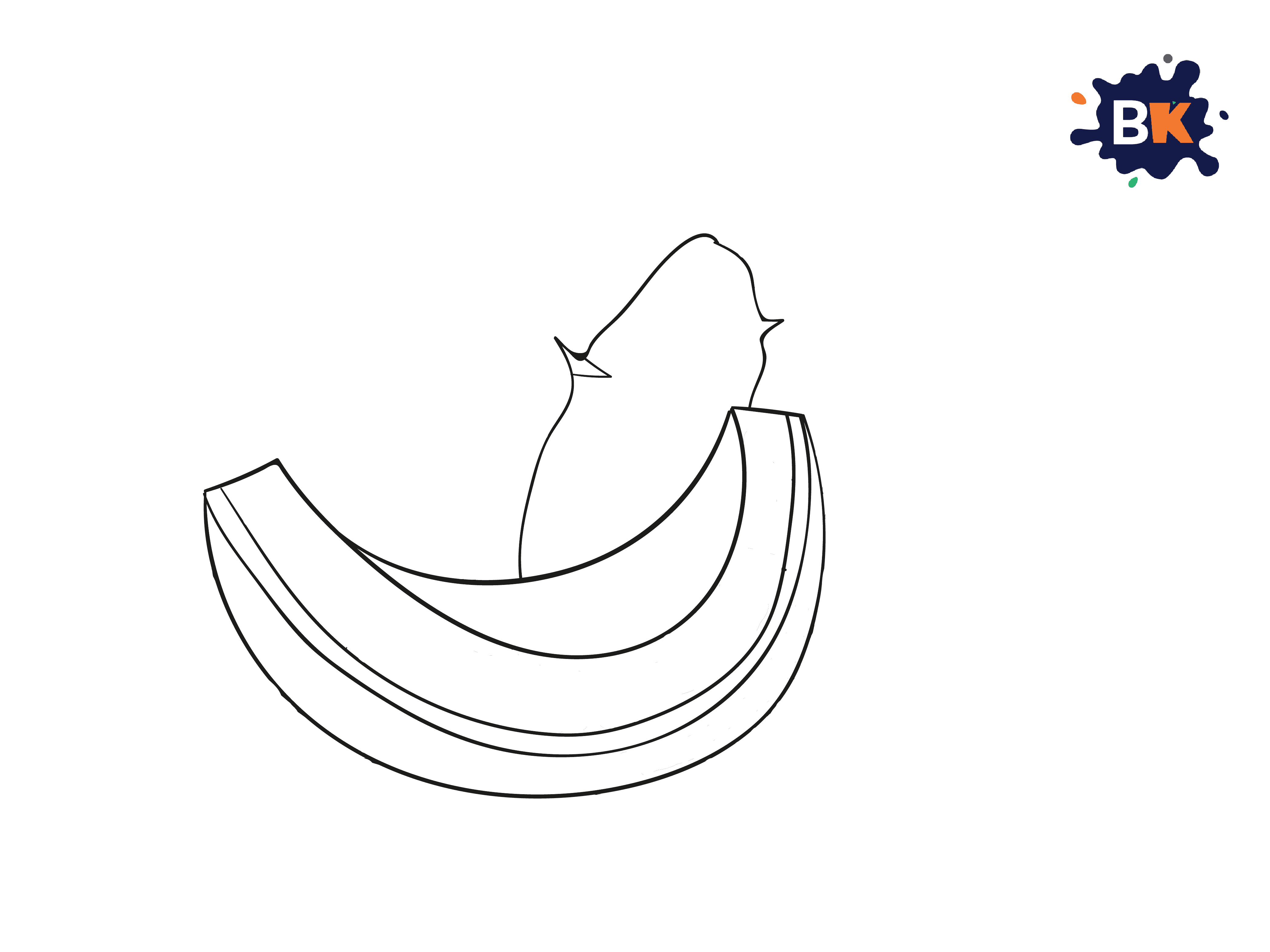 How To Draw A Coconut Step 4 How To Draw A Coconut Step 4