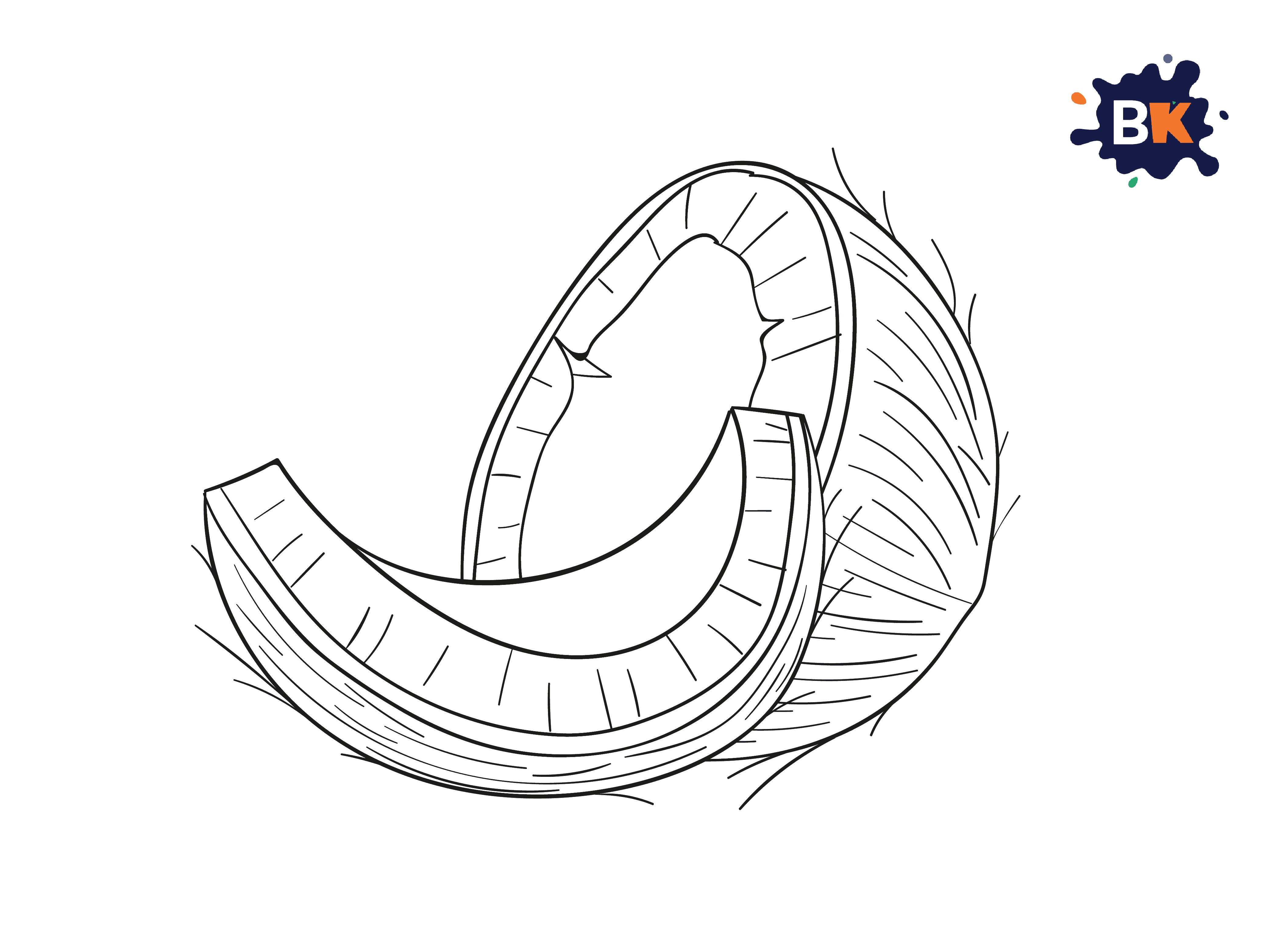 How To Draw A Coconut Step 7 How To Draw A Coconut Step 7