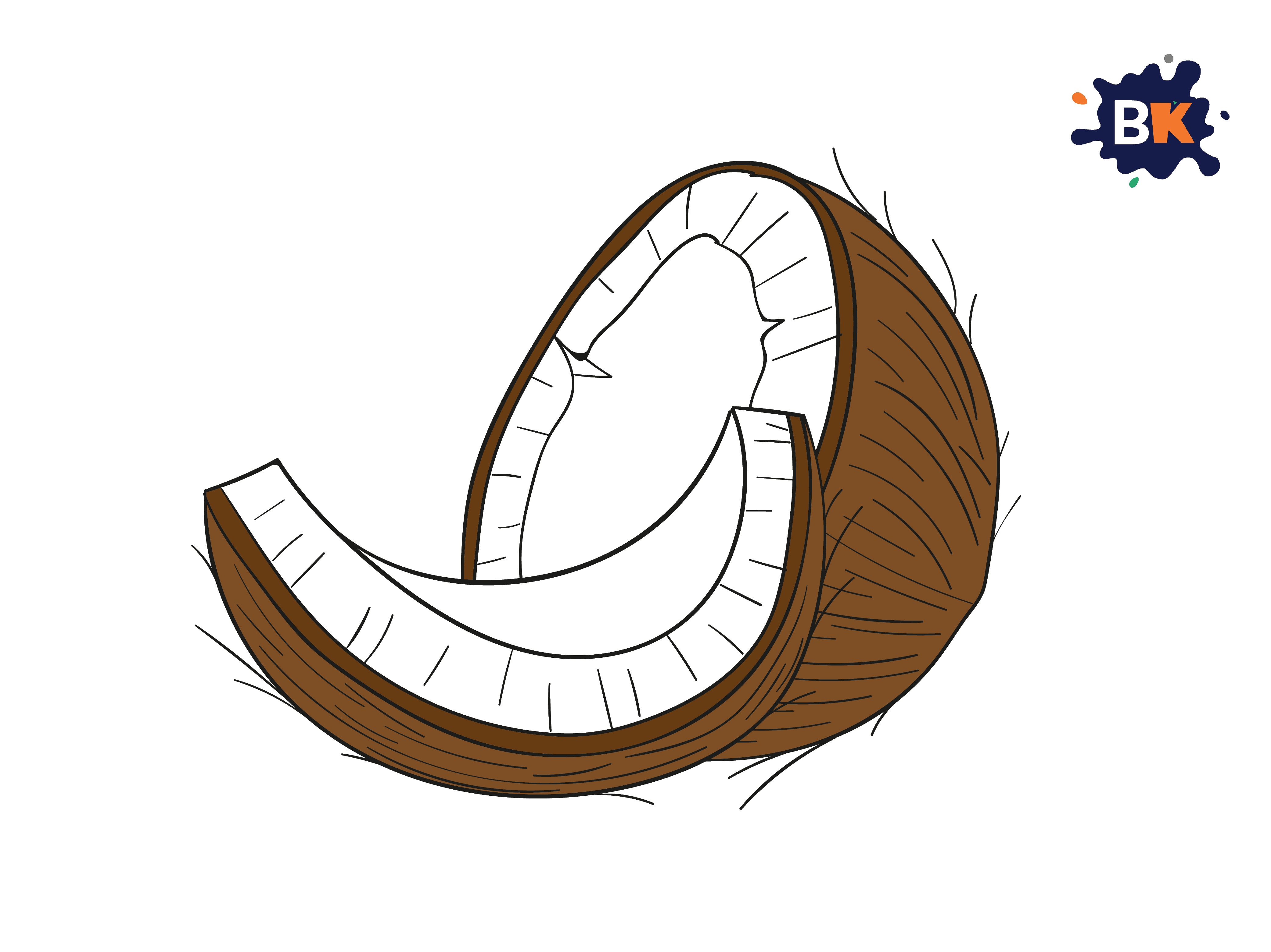 How To Draw A Coconut Step 8 How To Draw A Coconut Step 8