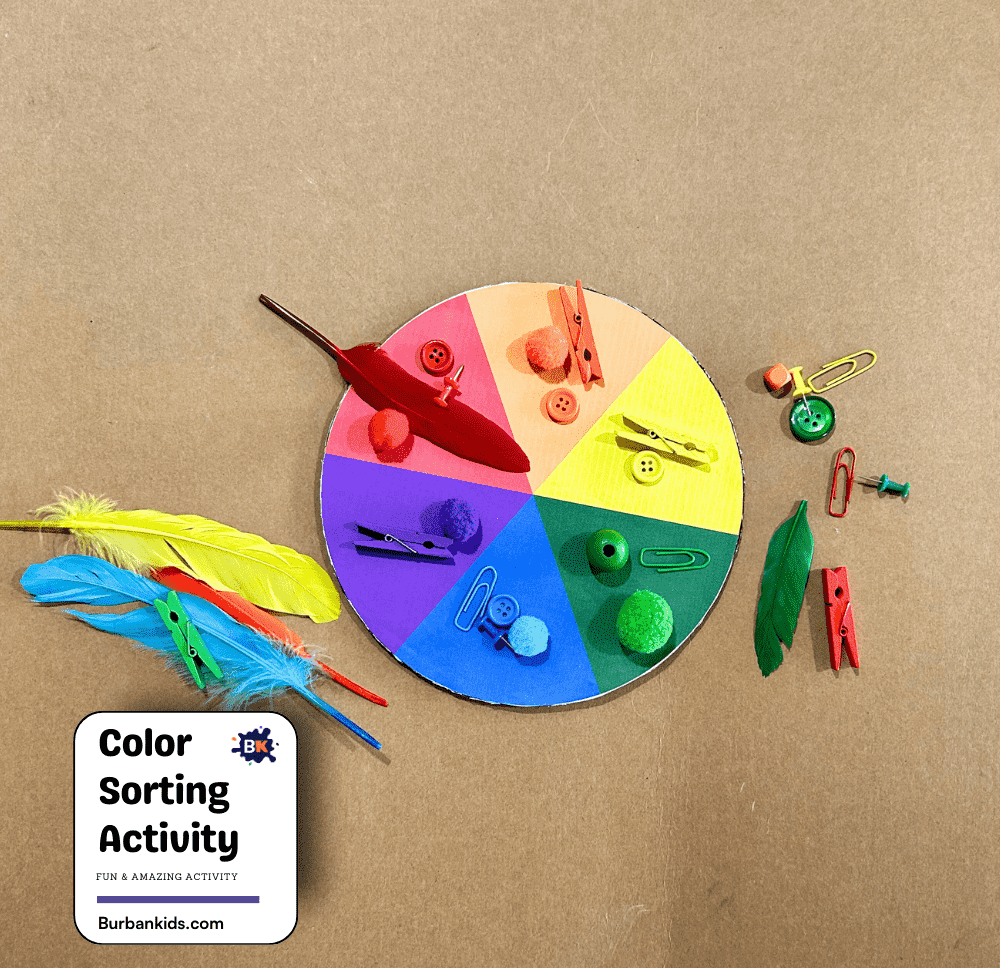 Color Sorting Activity