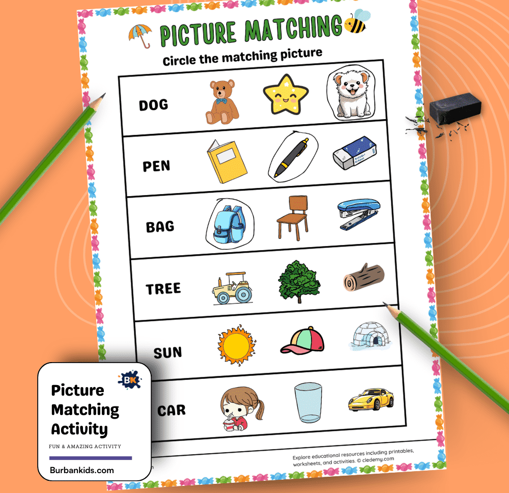 Picture Matching Activity