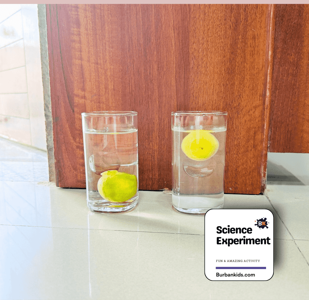 Science Experiment