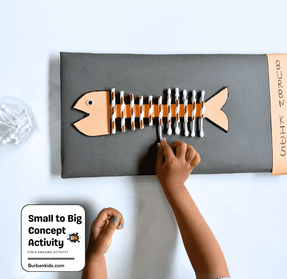 Small to Big Concept Activity