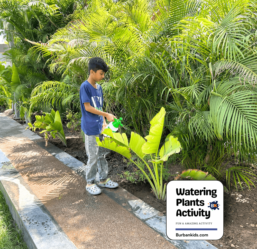 Watering Plants Activity