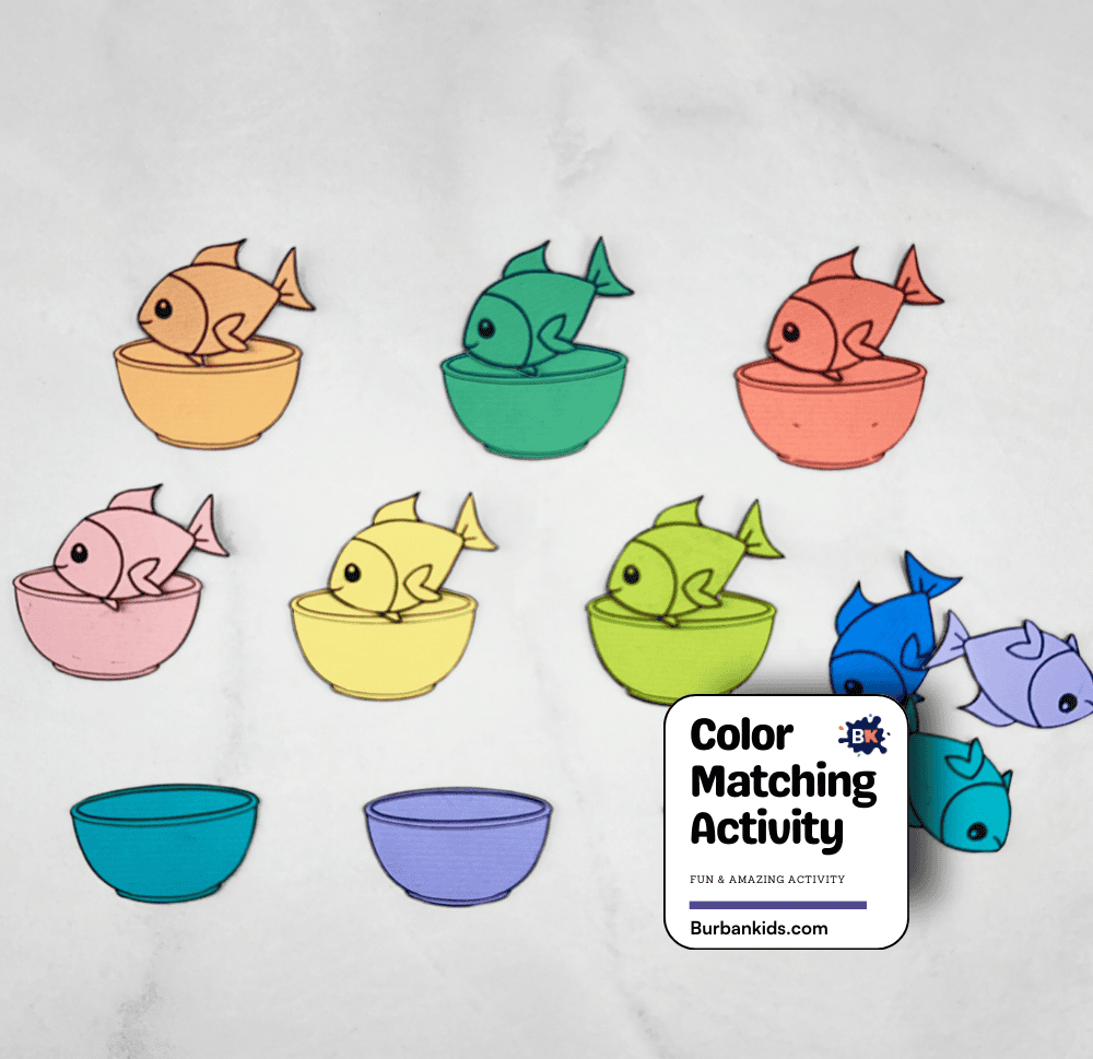 Color Matching Activity