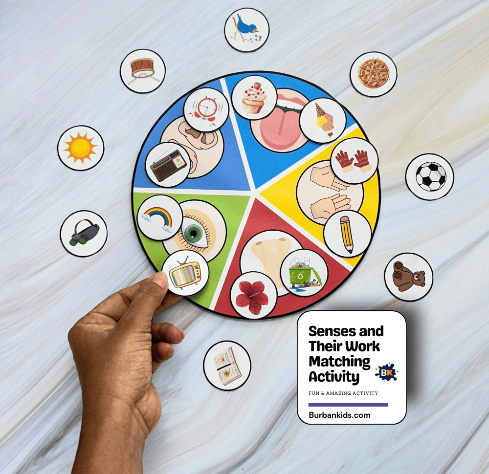 Senses and Their Work Matching Activity