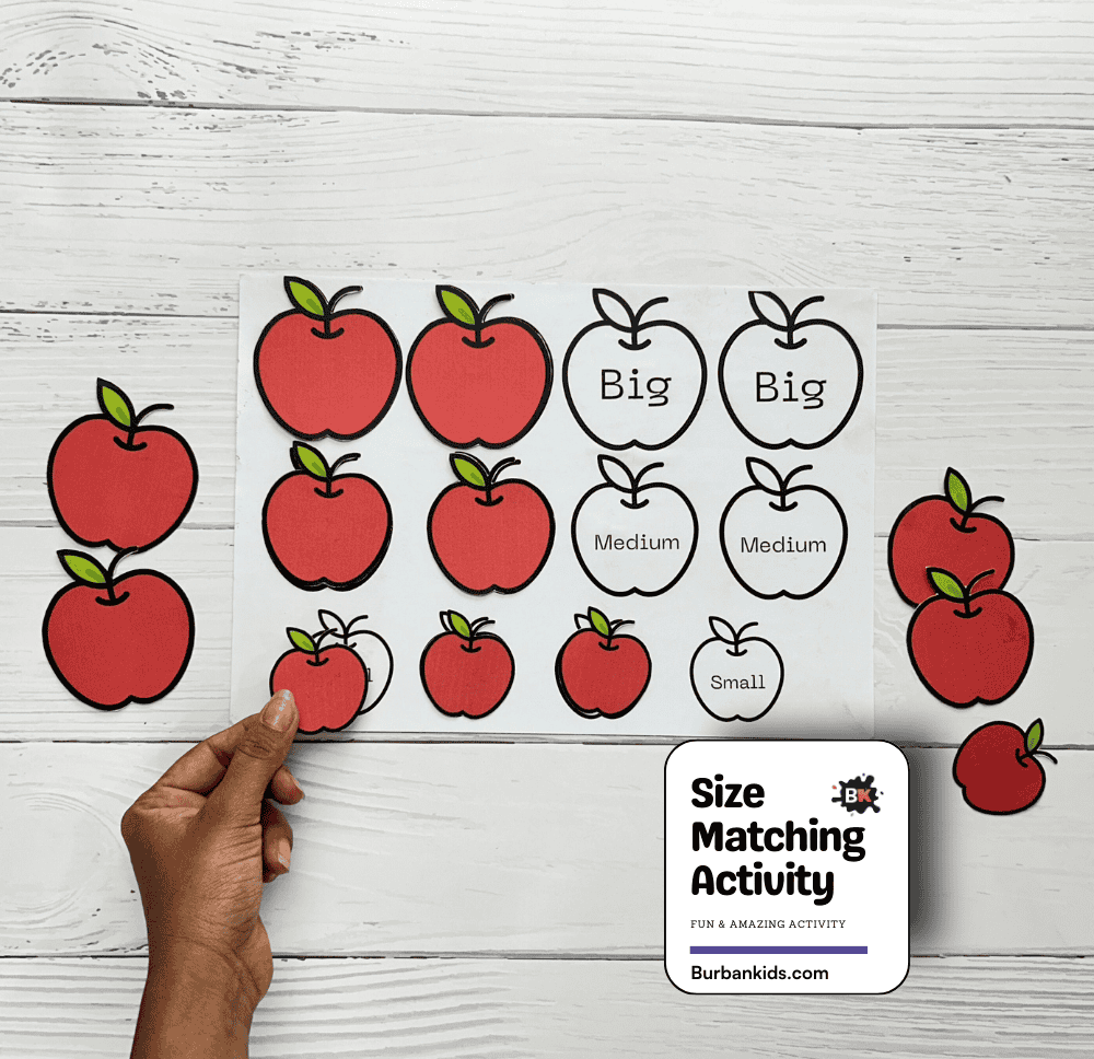 Size Matching Activity