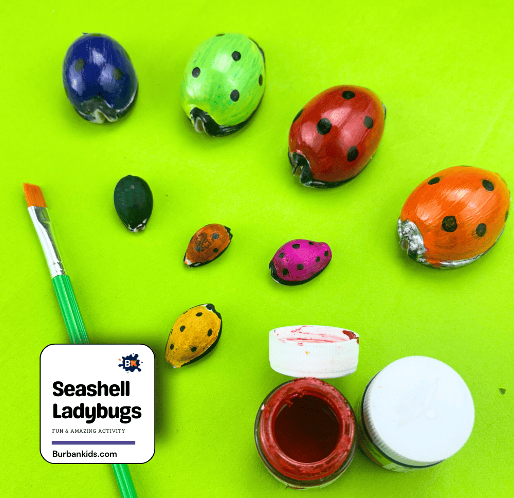 Seashell Ladybugs